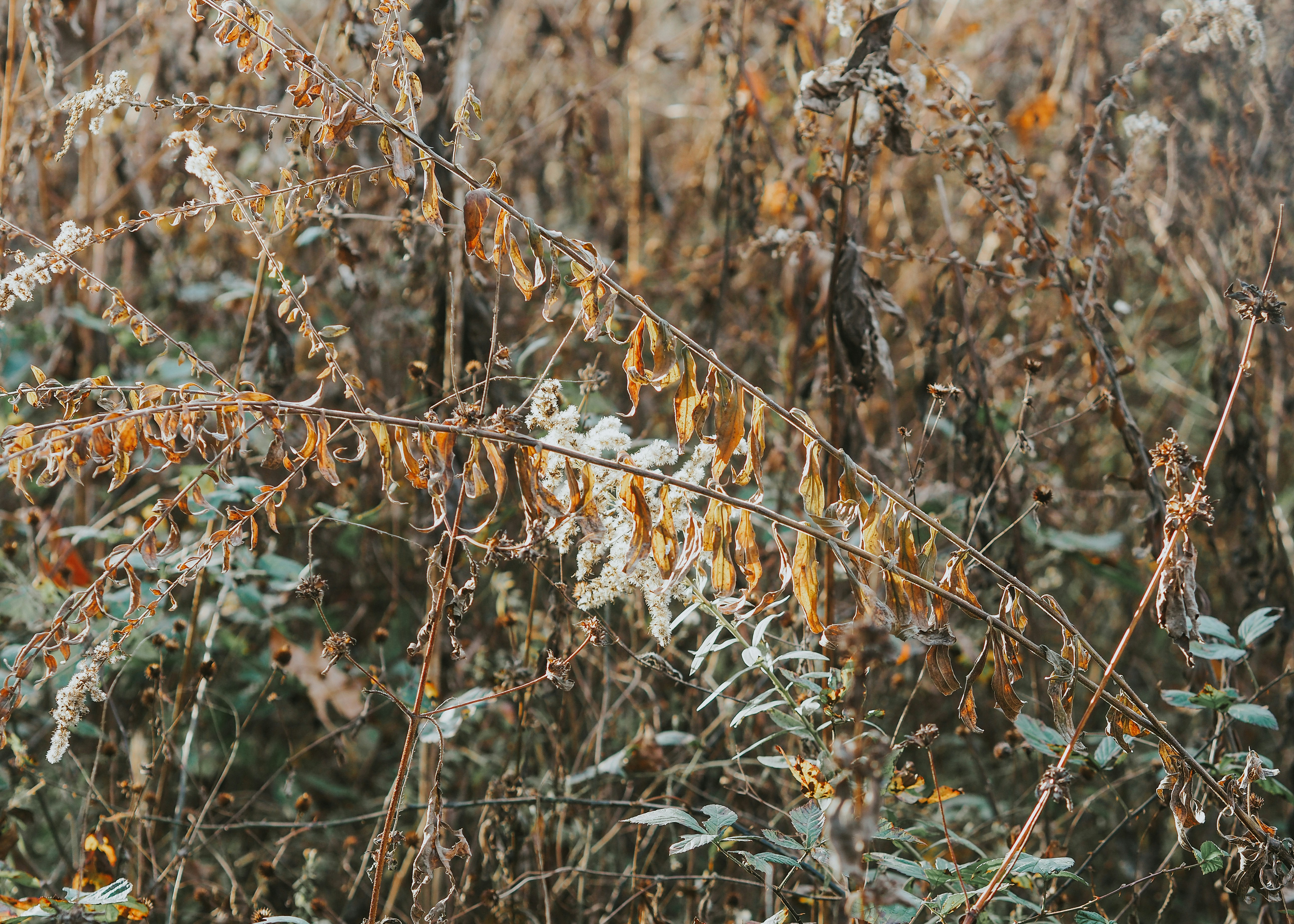 Photo by fieldworkframes