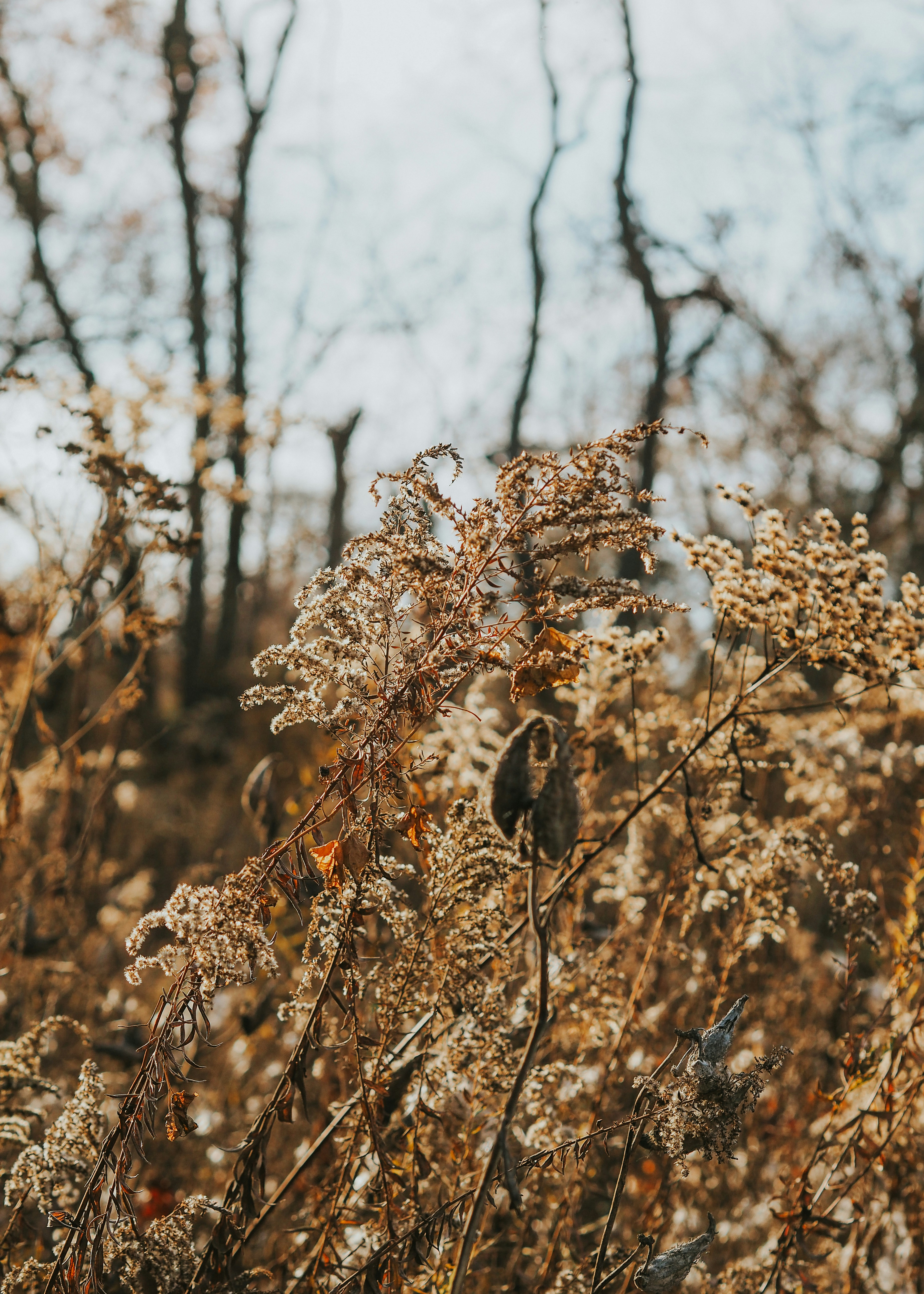 Photo by fieldworkframes