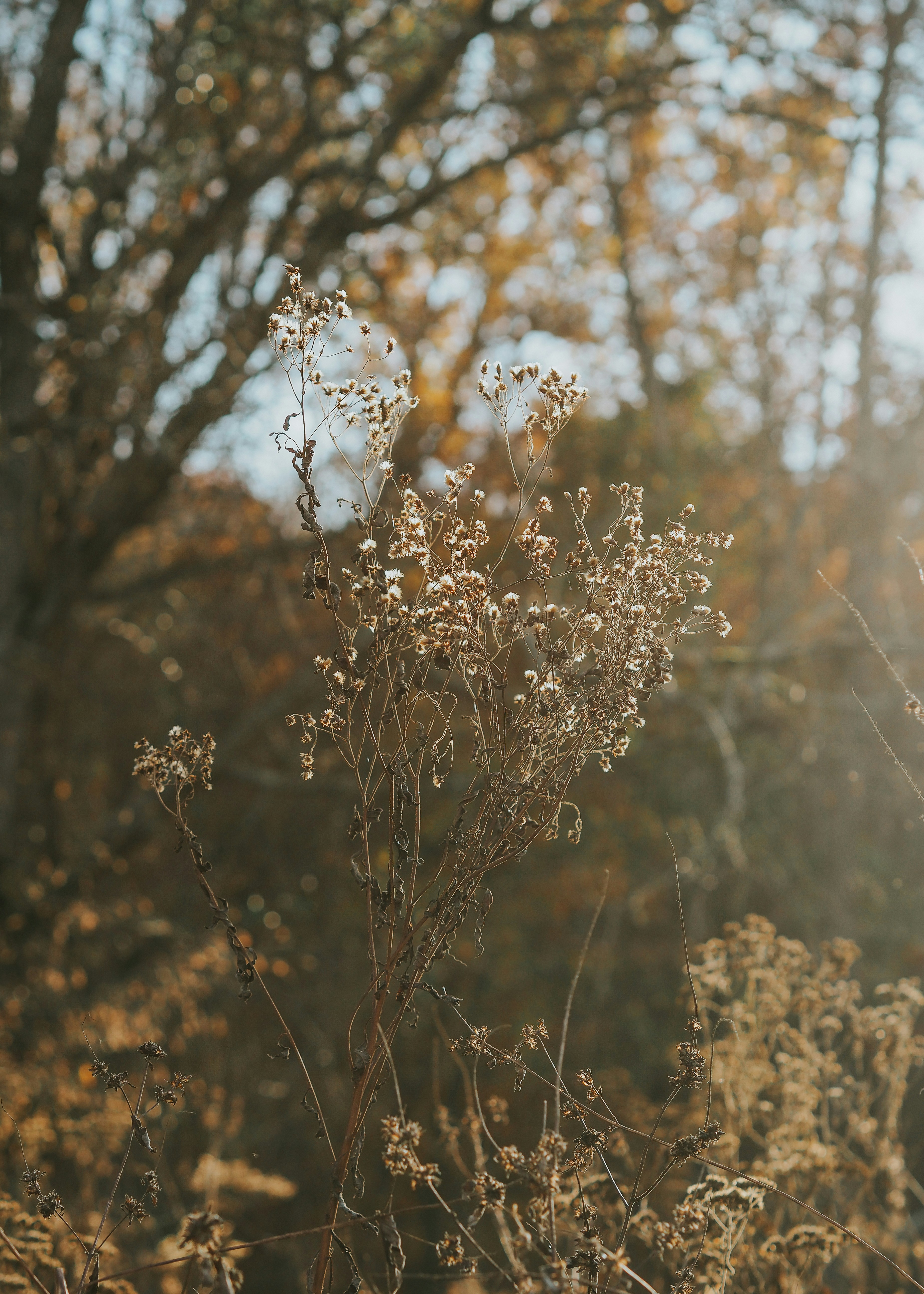 Photo by fieldworkframes