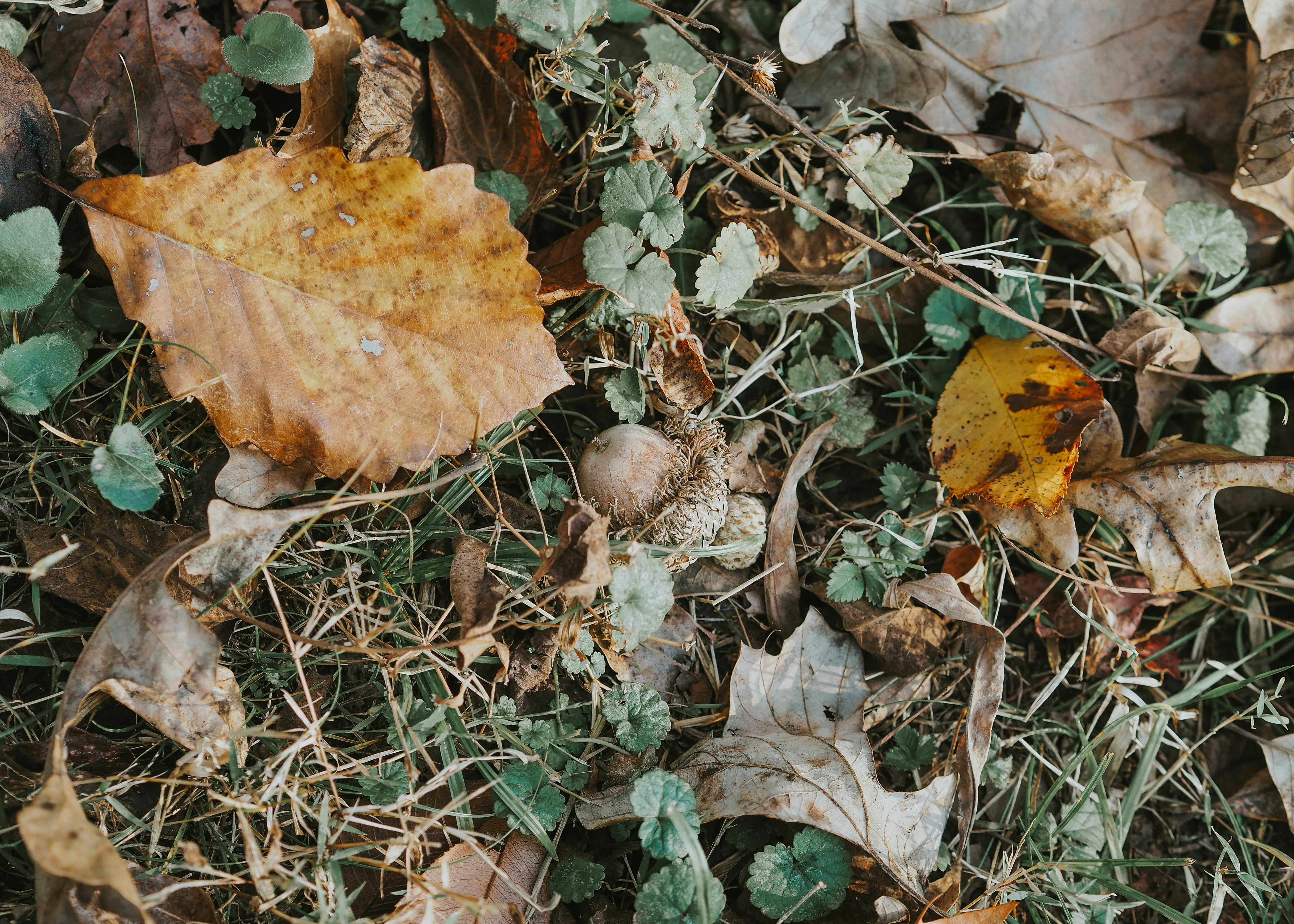 Photo by fieldworkframes