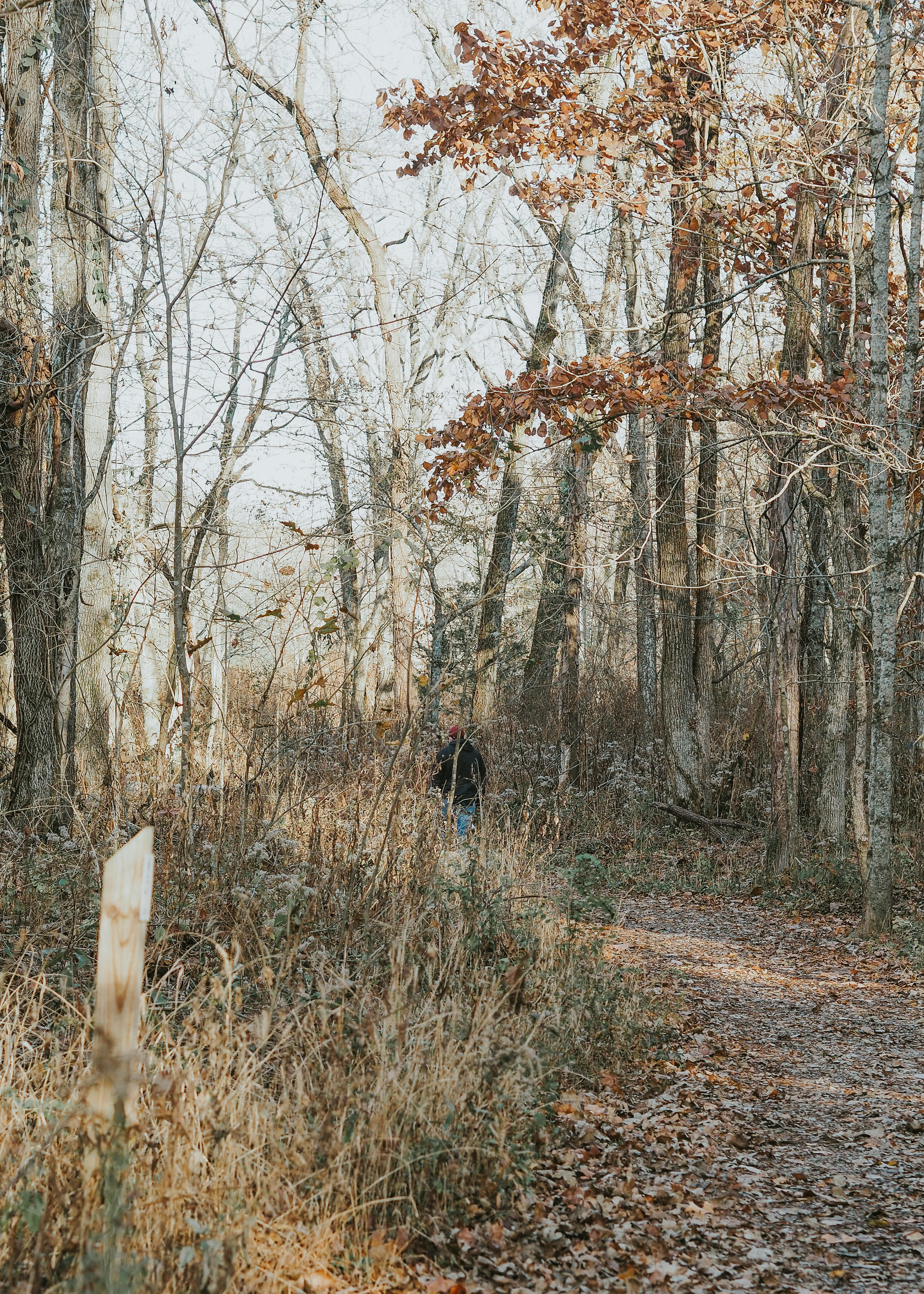 Photo by fieldworkframes