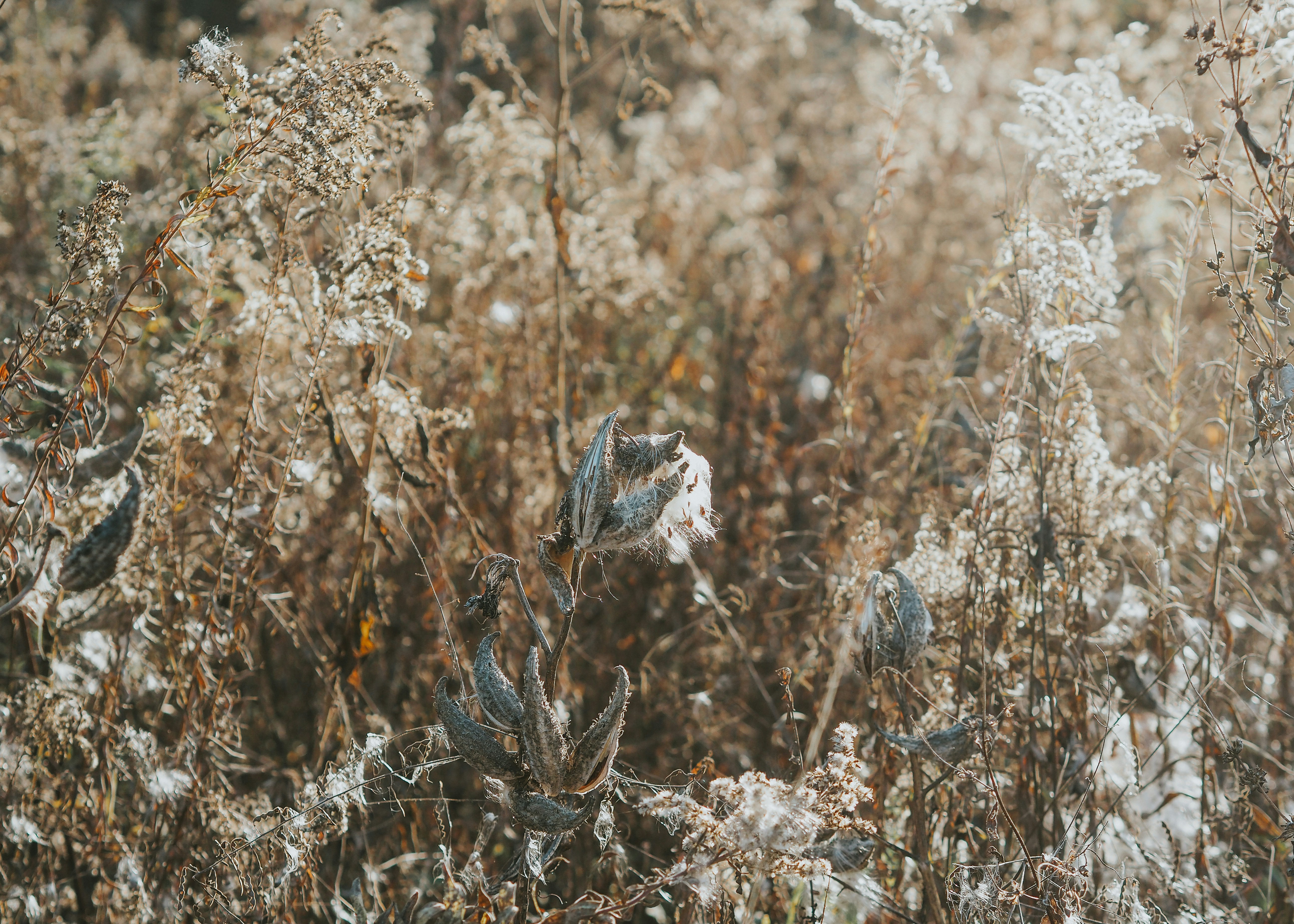 Photo by fieldworkframes