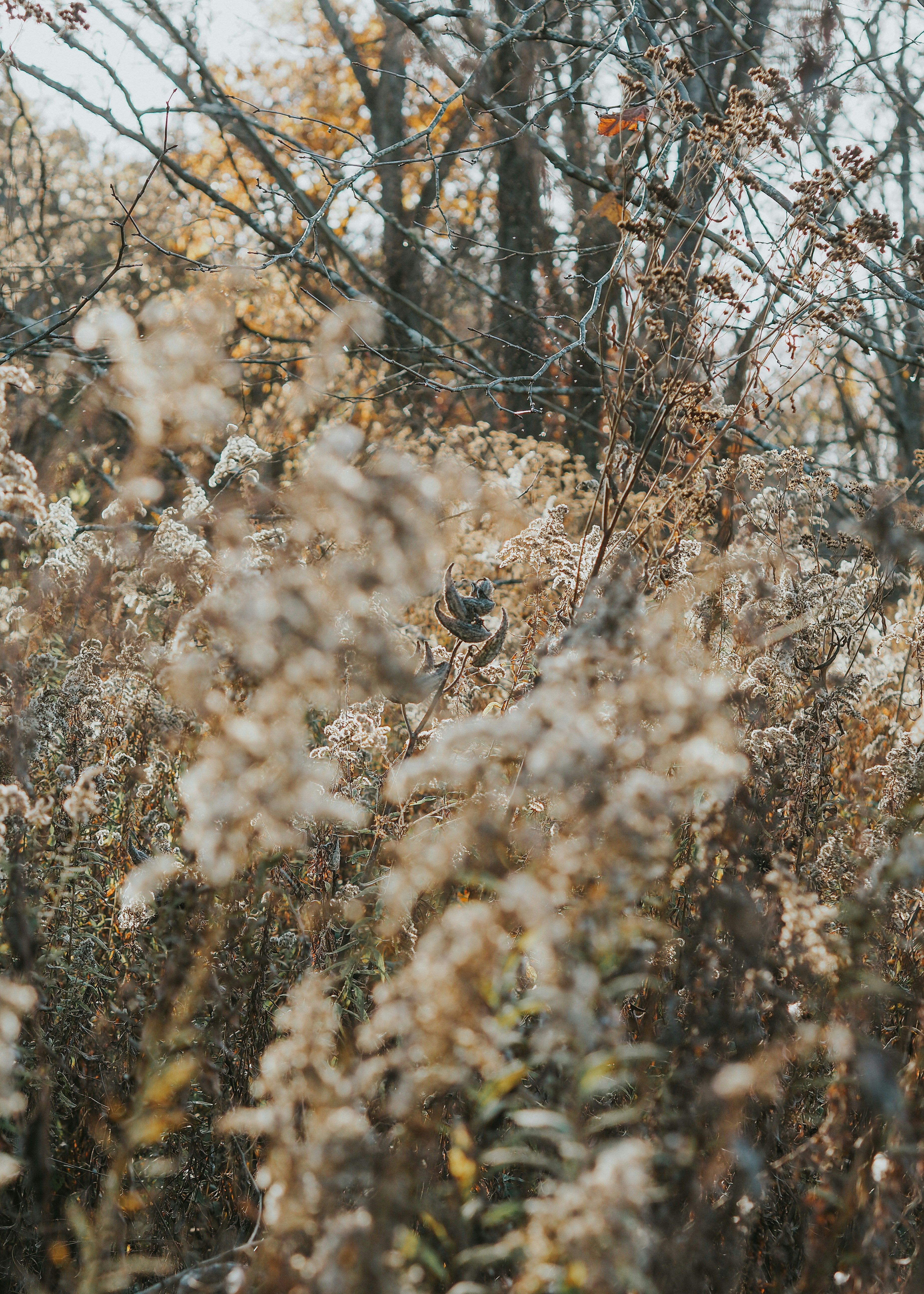 Photo by fieldworkframes