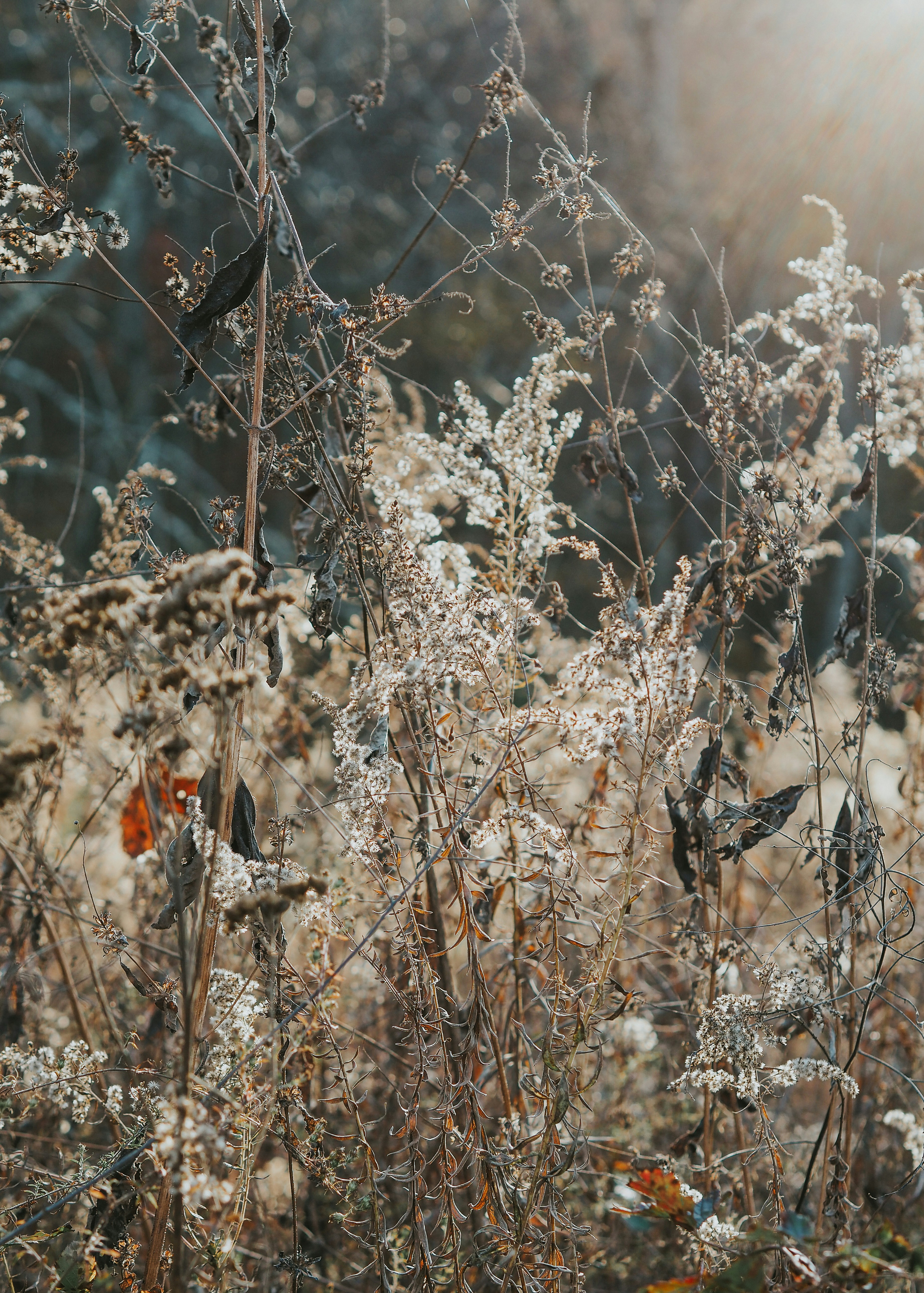 Photo by fieldworkframes
