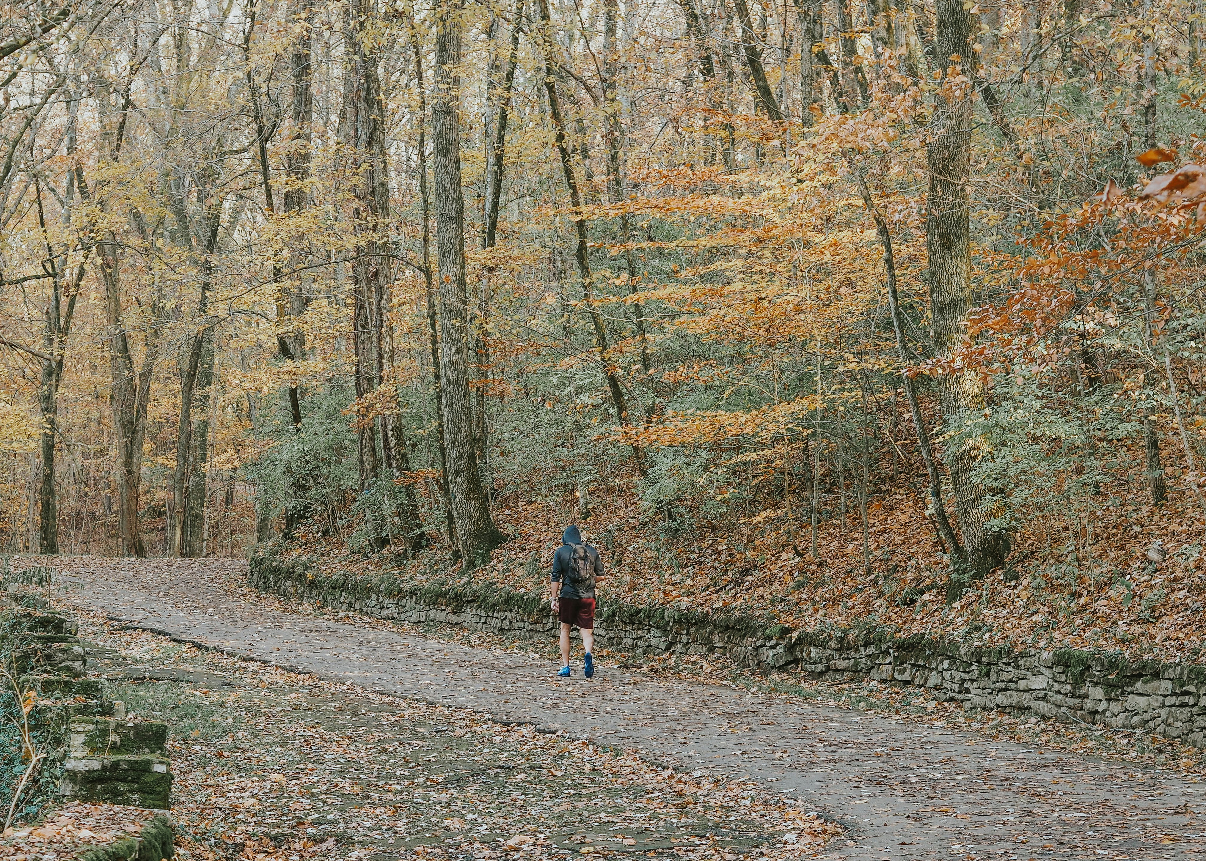 Person walking in woods