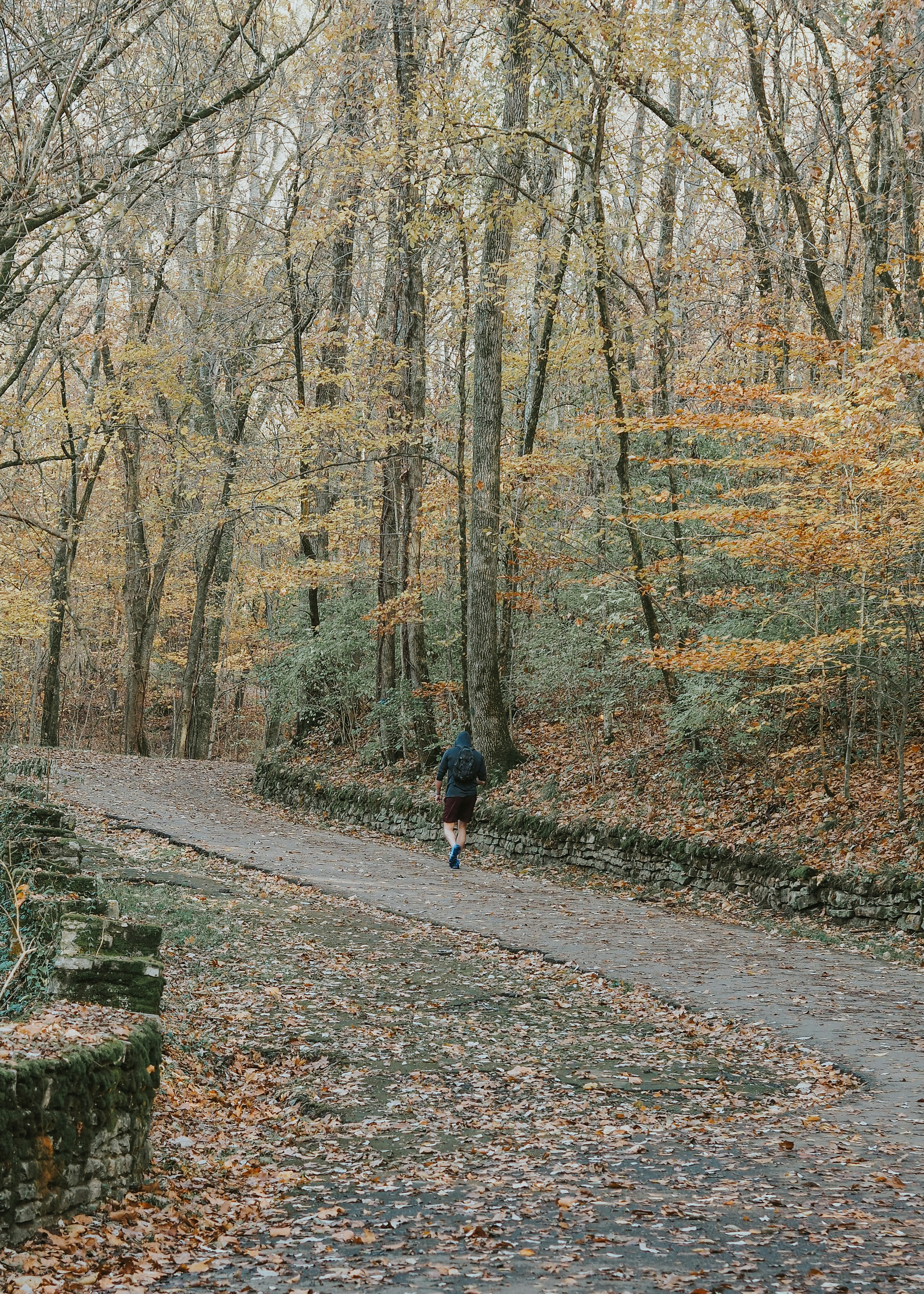 Photo by fieldworkframes