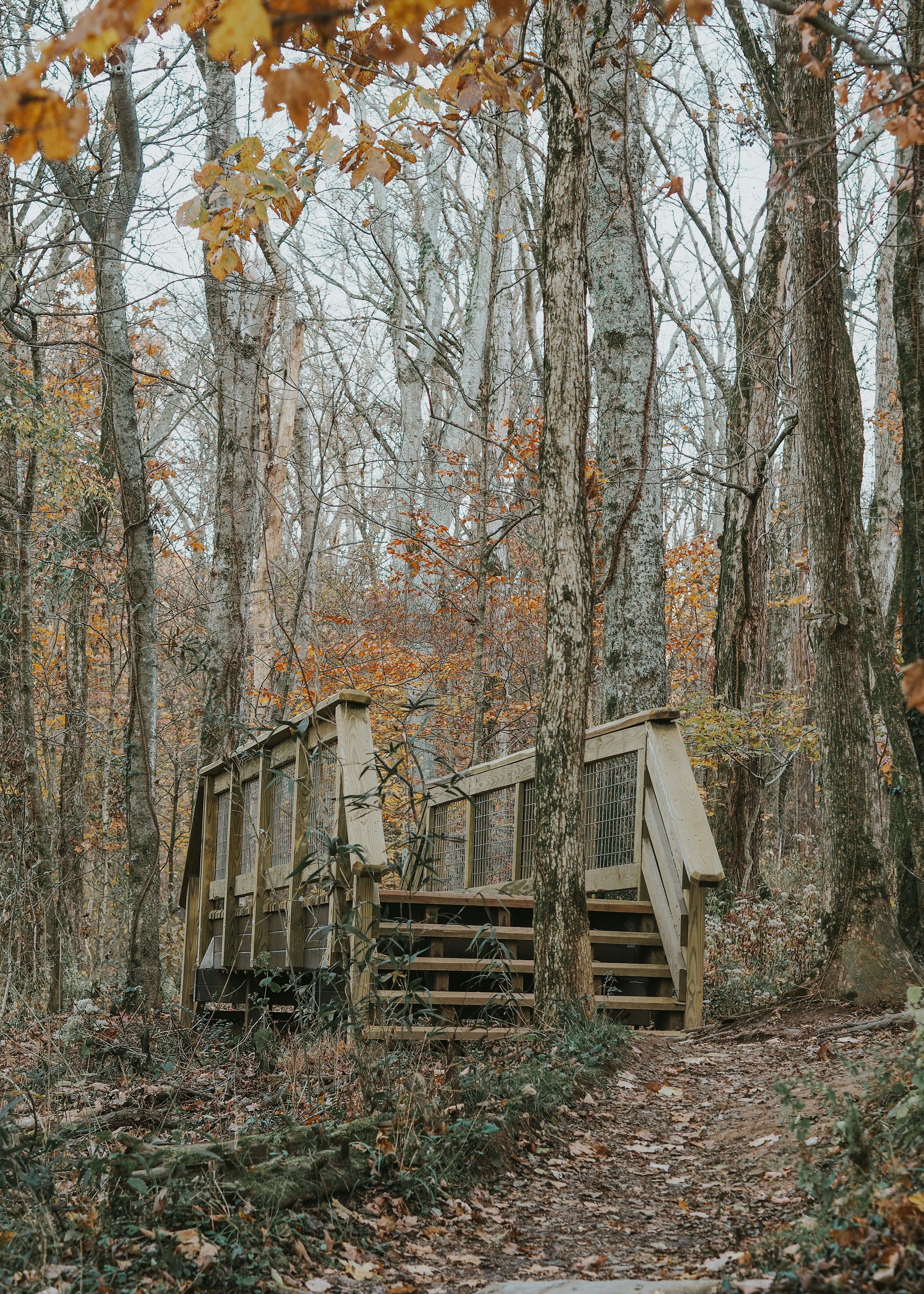 Photo by fieldworkframes