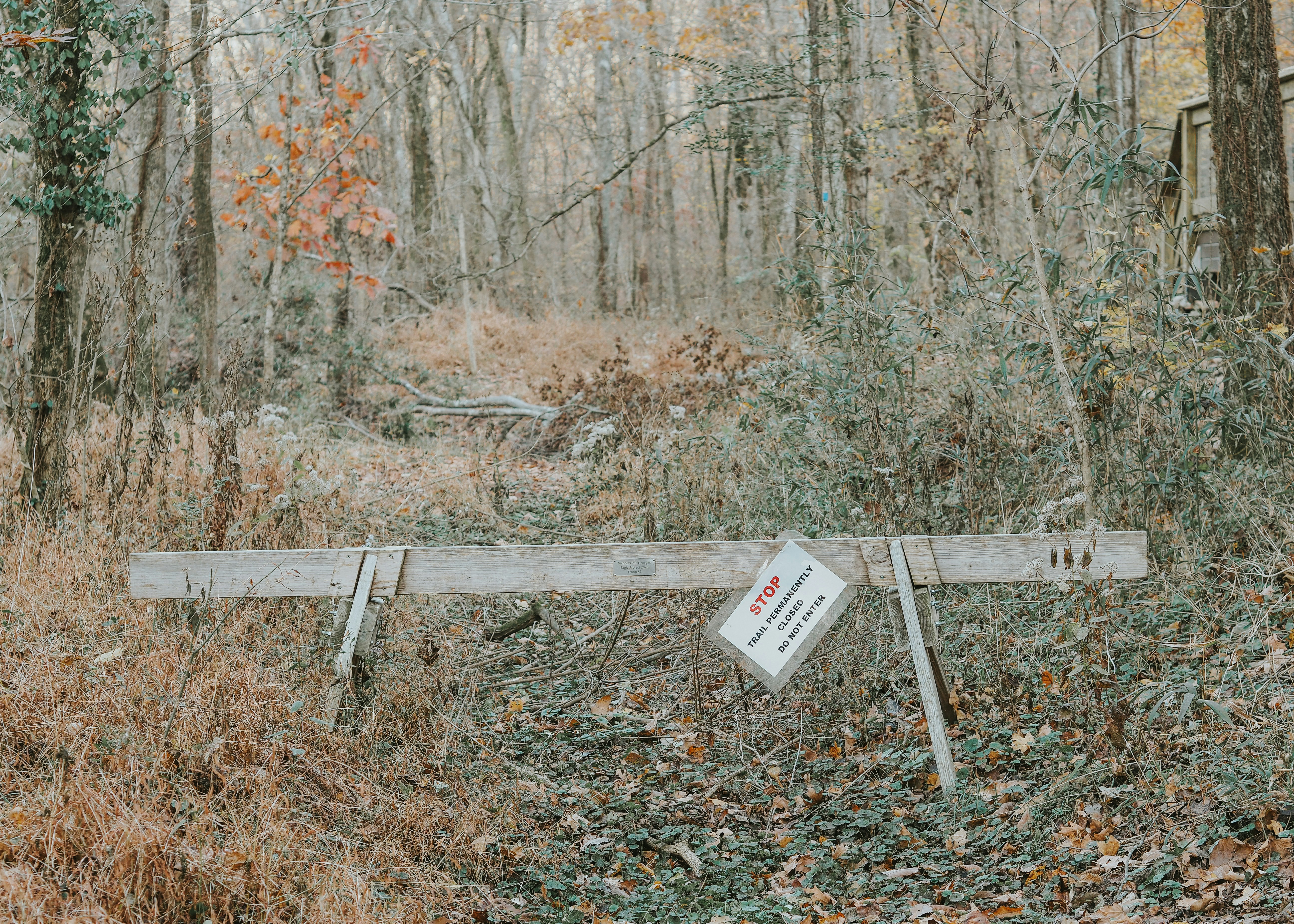 Photo by fieldworkframes