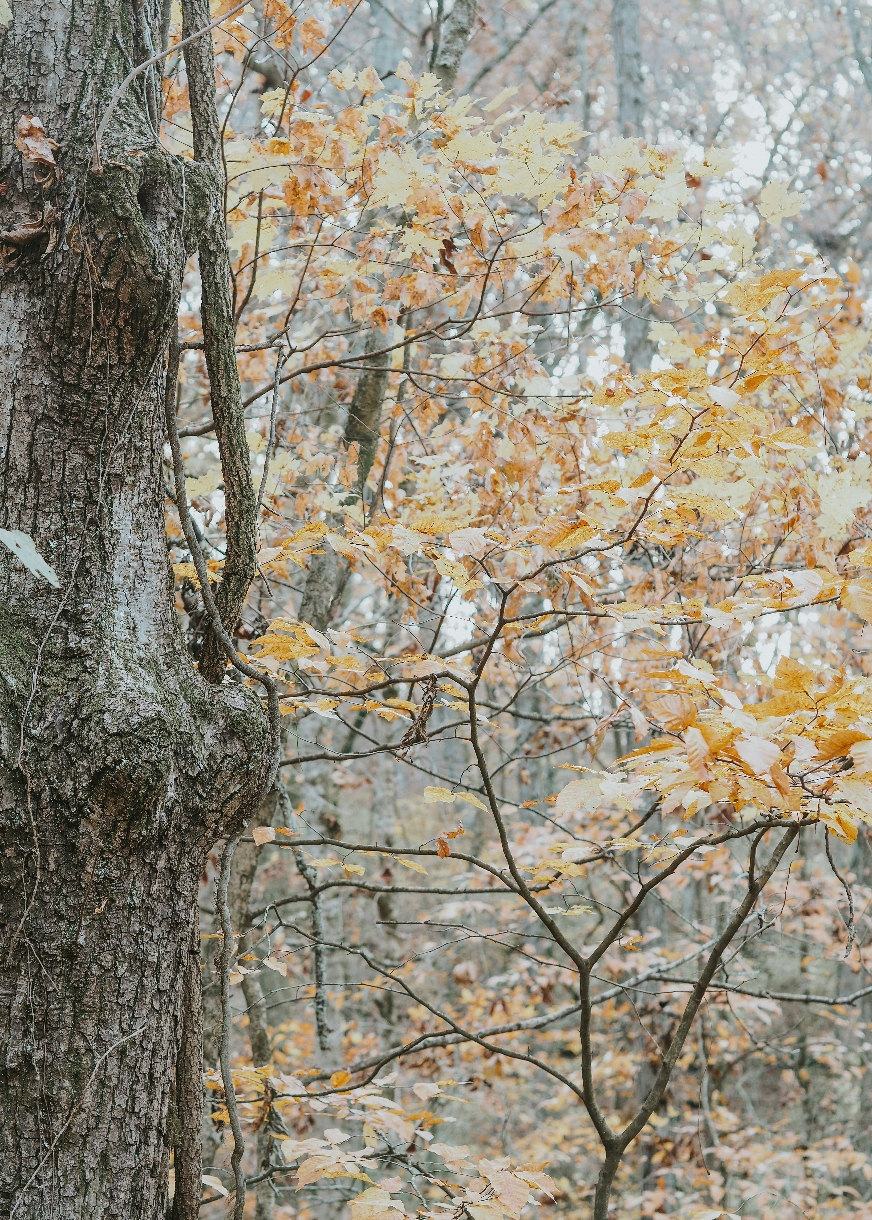 Photo by fieldworkframes