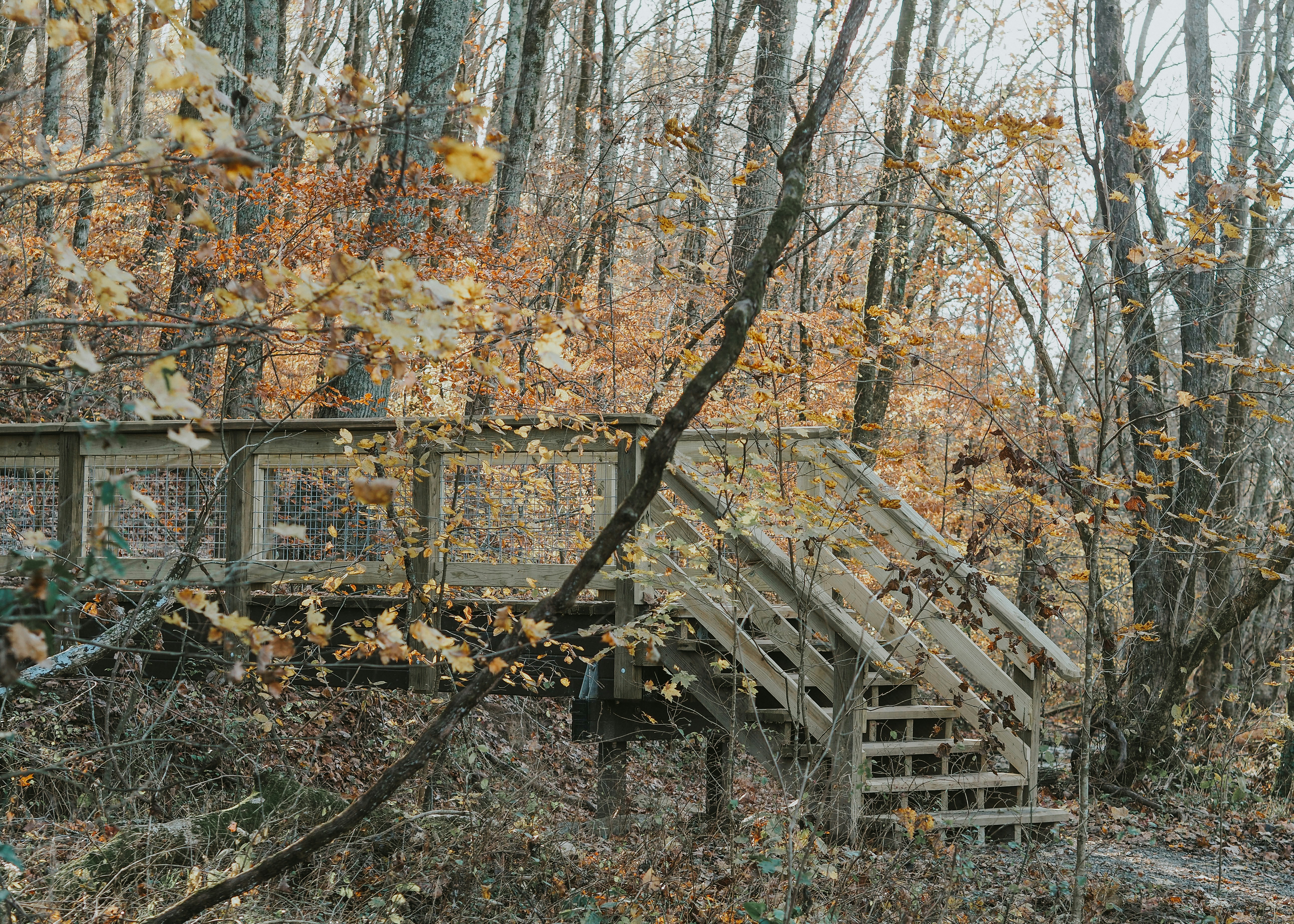 Photo by fieldworkframes