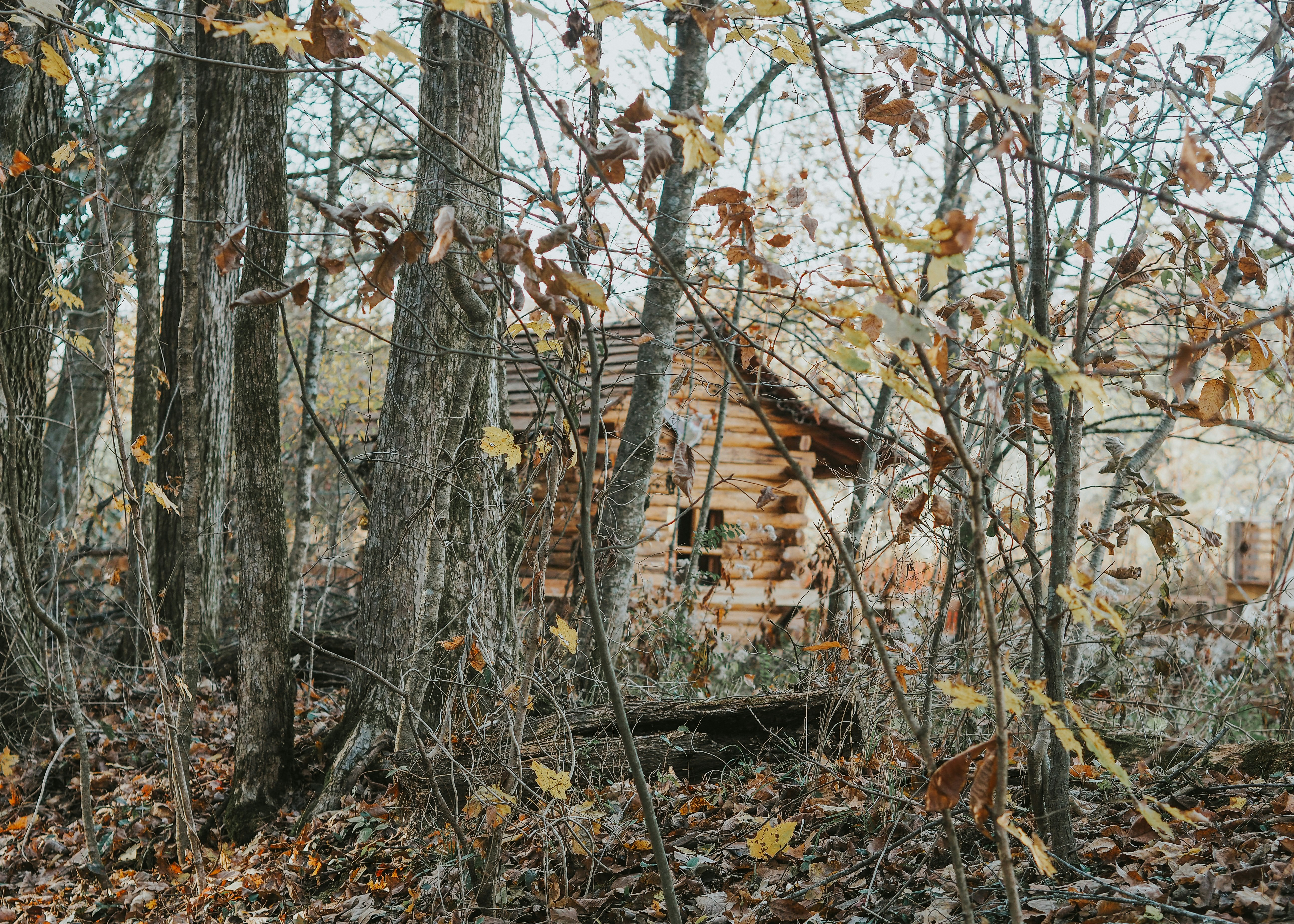 Photo by fieldworkframes