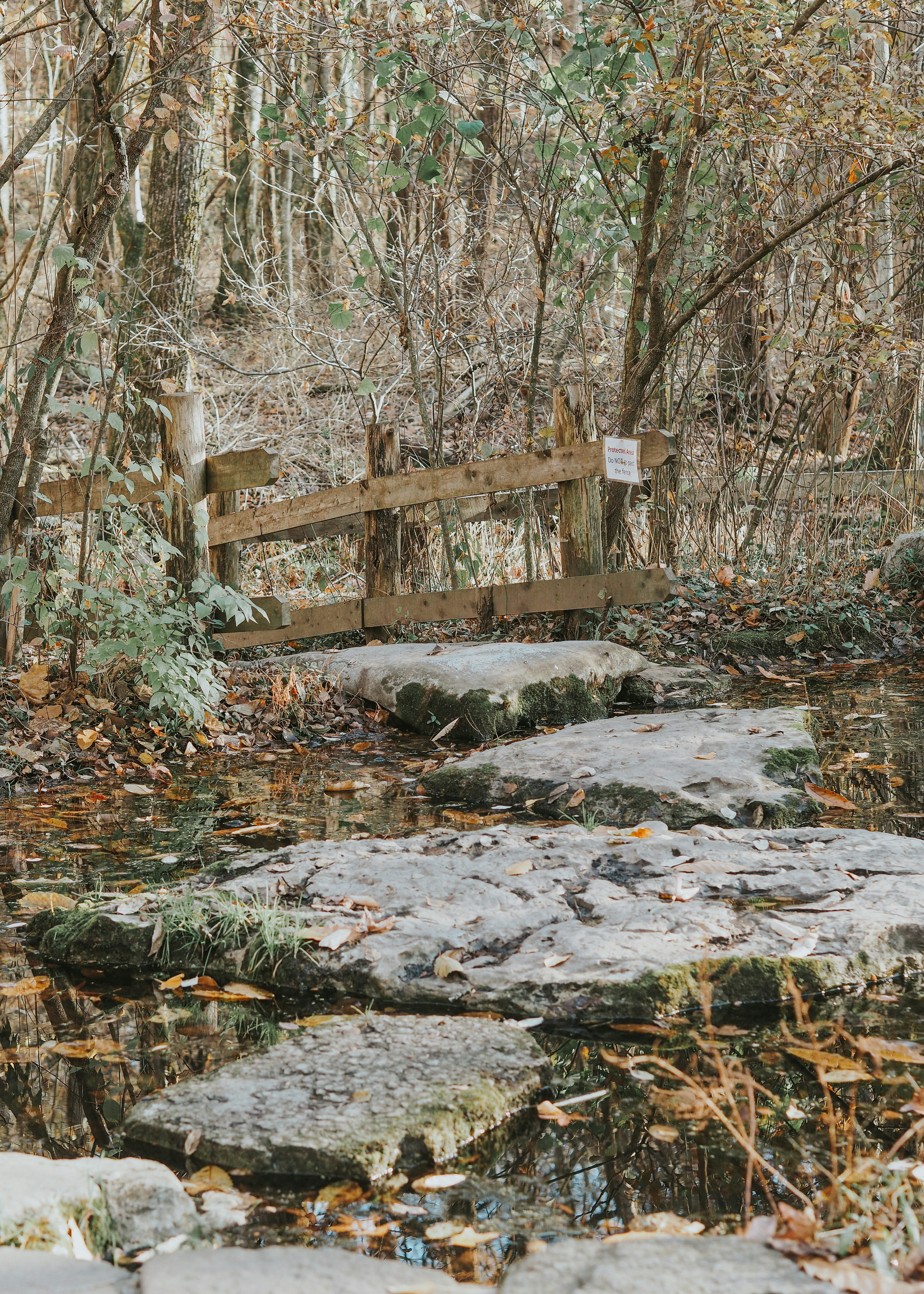 Photo by fieldworkframes