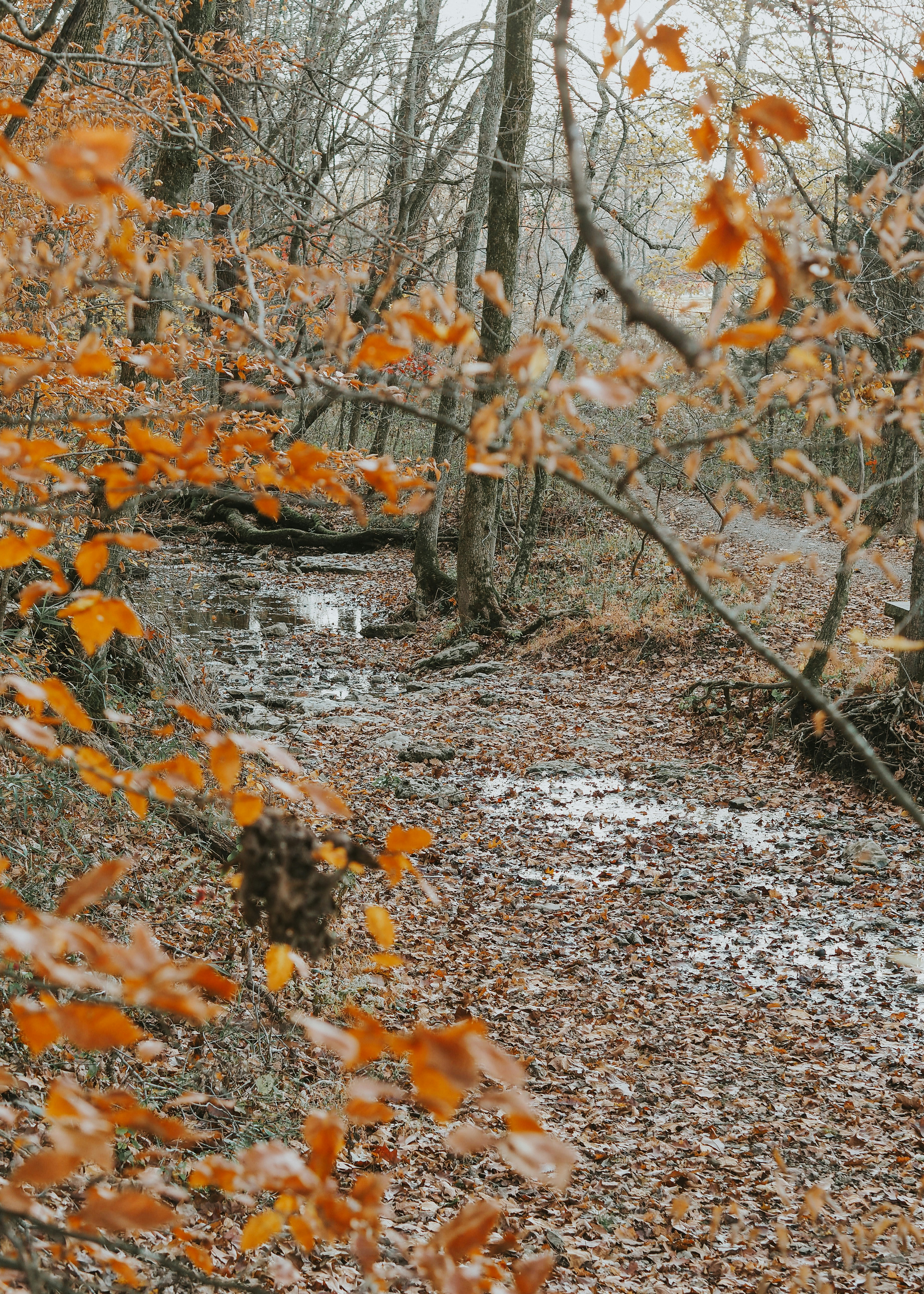 Photo by fieldworkframes