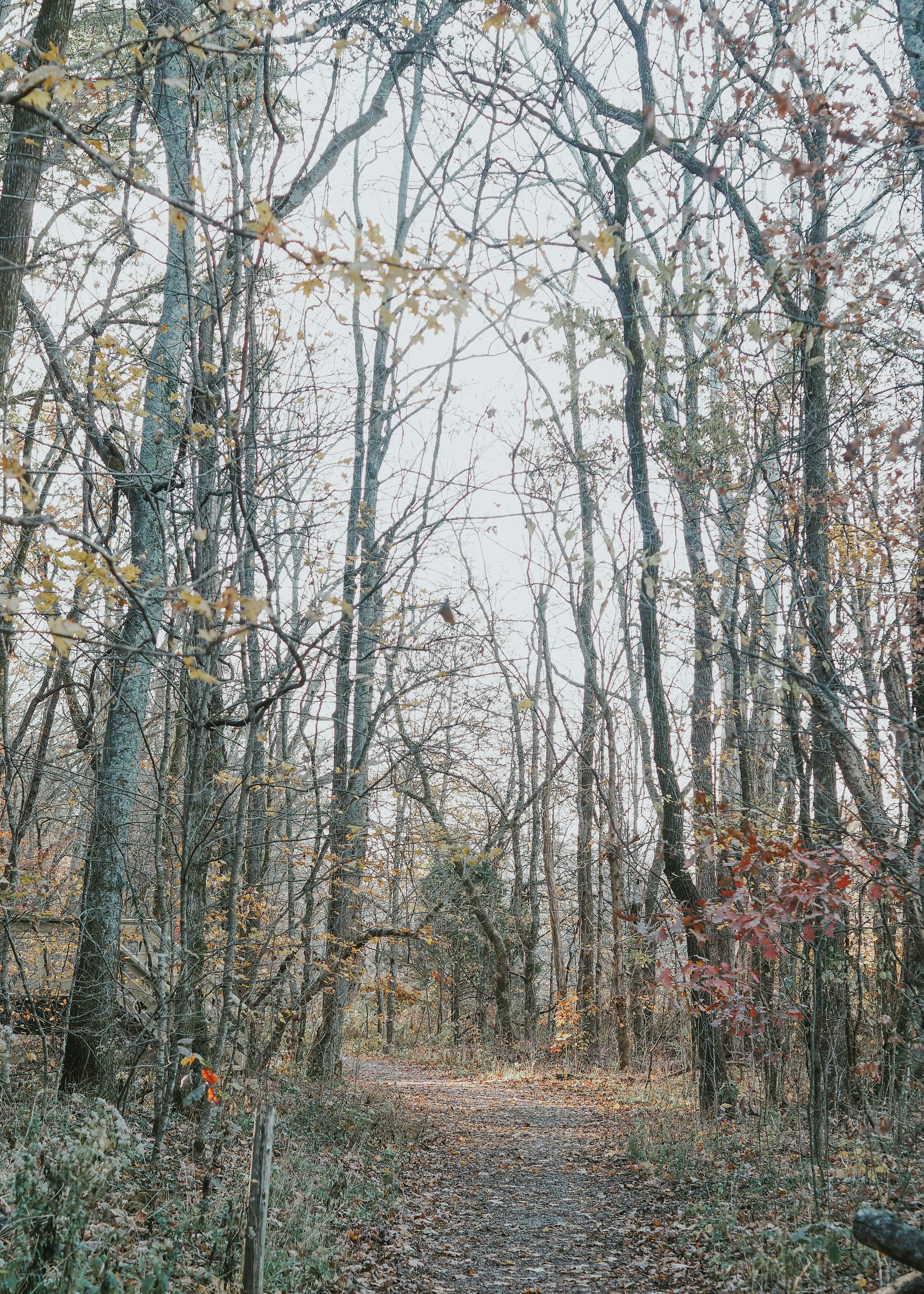 Photo by fieldworkframes