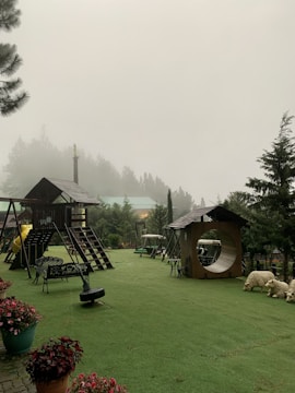 A foggy outdoor scene features a playground with wooden structures, including slides and climbing frames. The area is surrounded by lush trees, and the ground is covered with artificial grass. Several decorative sheep statues are placed near the play area, and there are various benches and potted plants around.