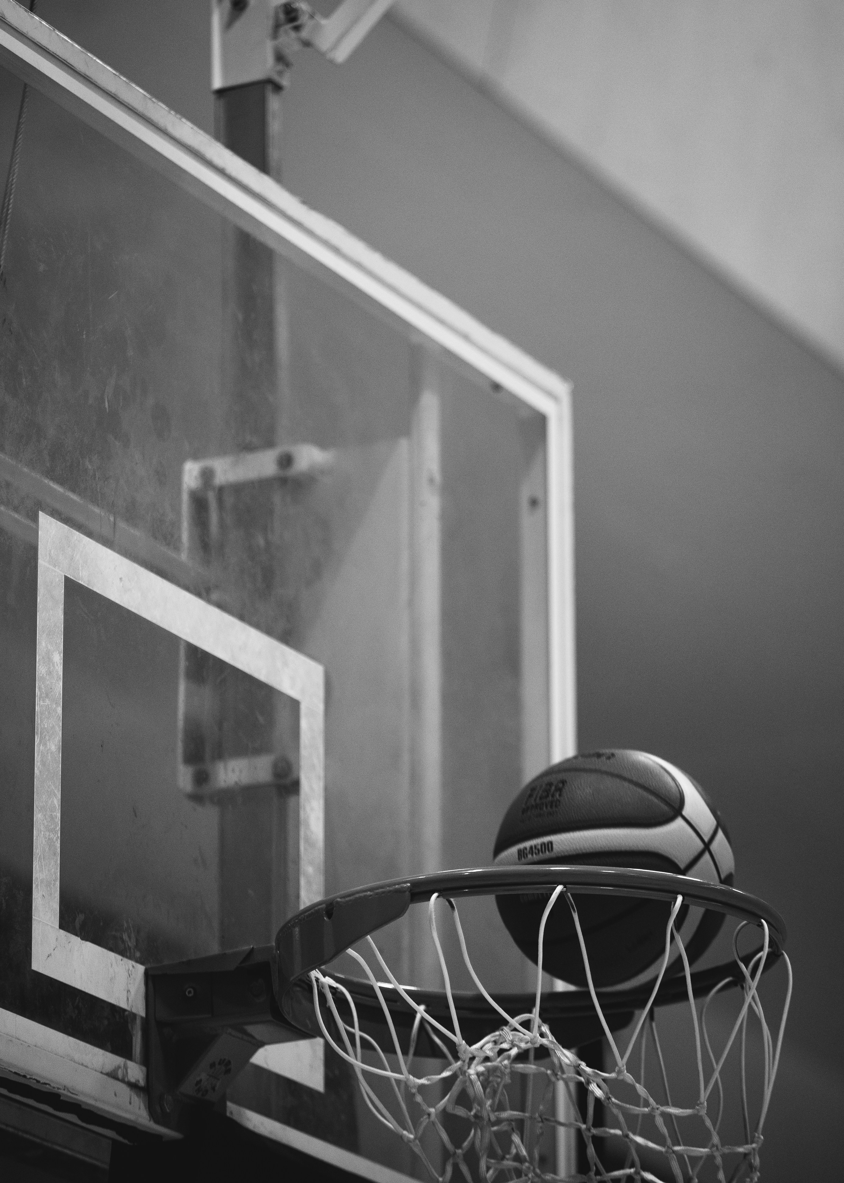 5 Cricket for Beginner Equipment Care Tips to Make Gear Last Longer