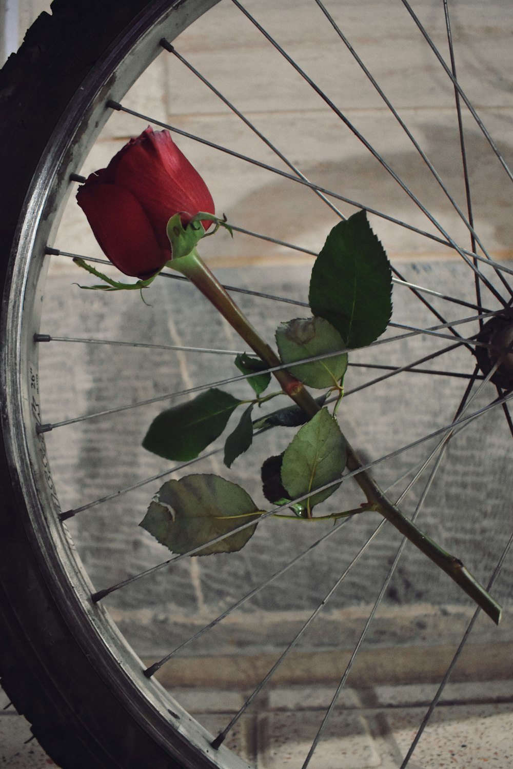 a single red rose sitting on top of a bike tire