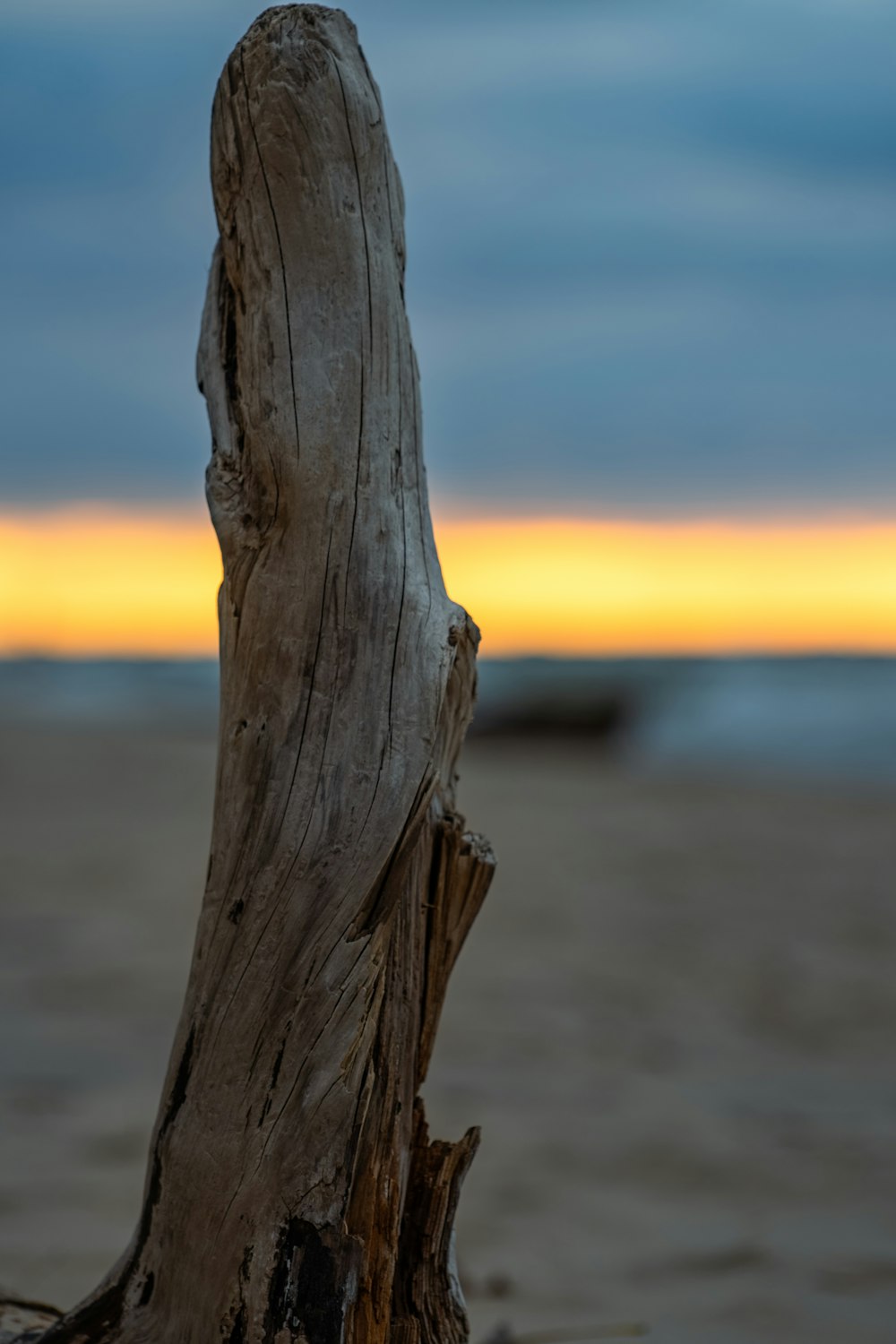 a close up of a piece of wood on a beach