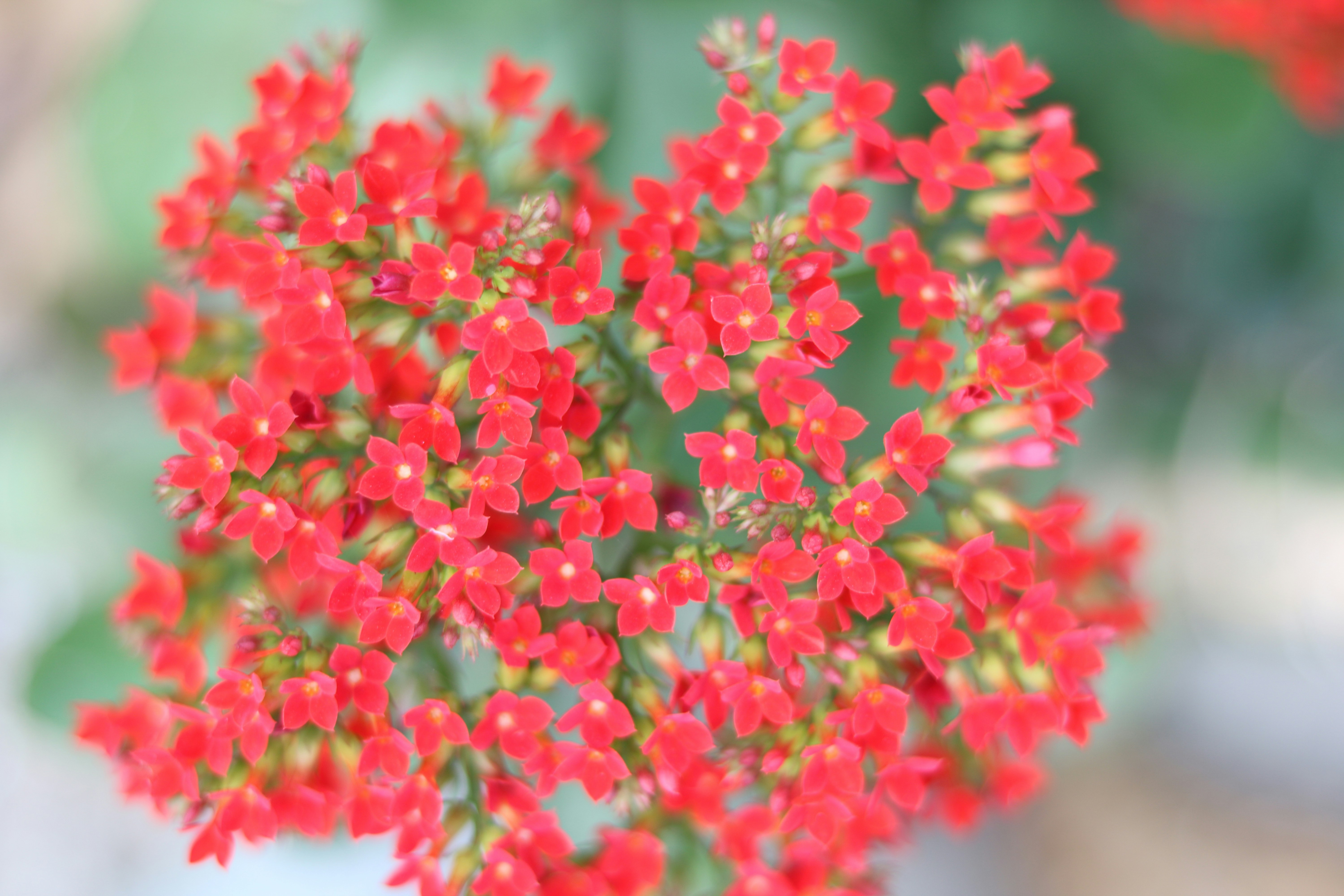 Photo by uyennguyen2401