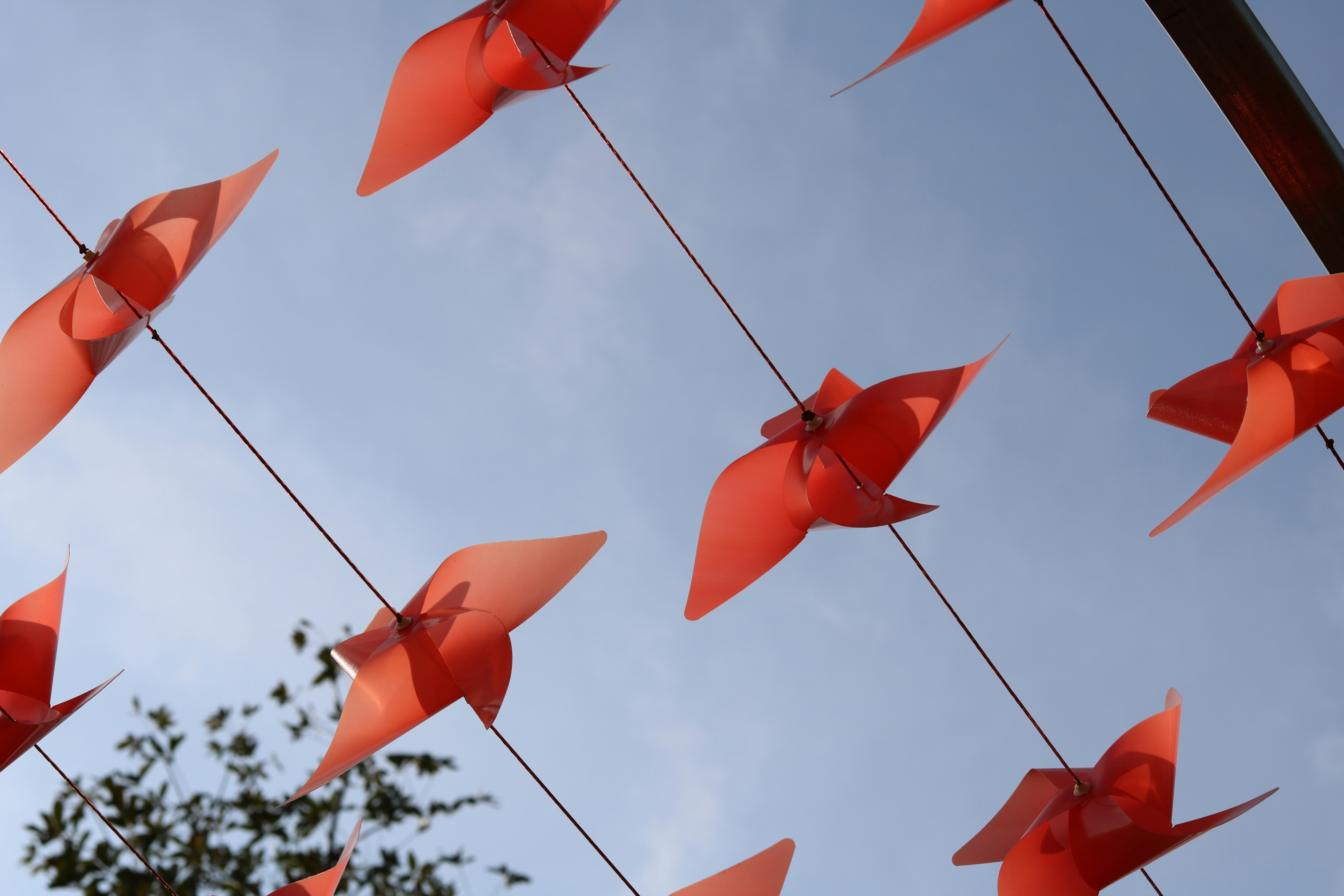 Photo by uyennguyen2401