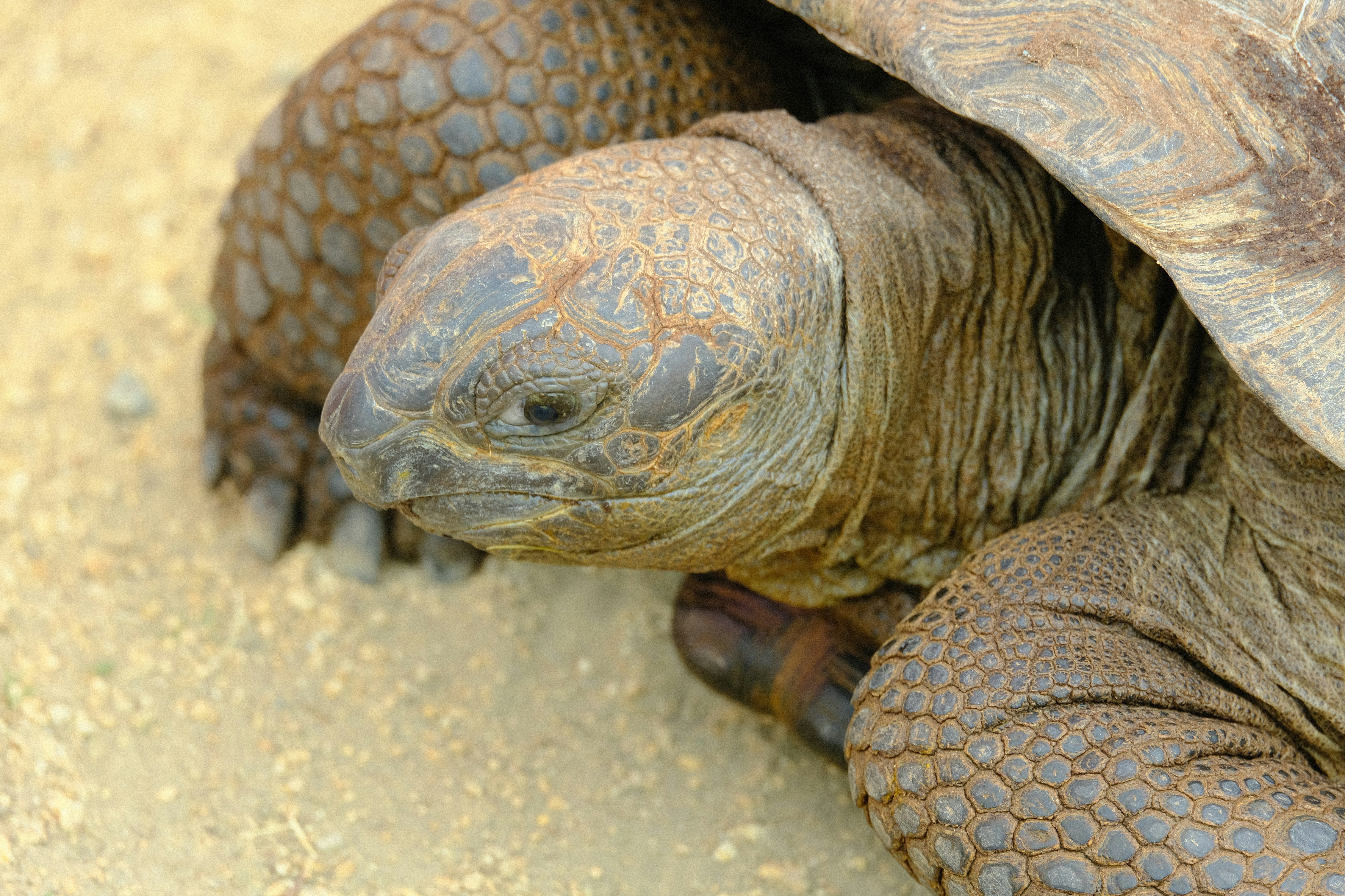 Photo by gregorio_nico