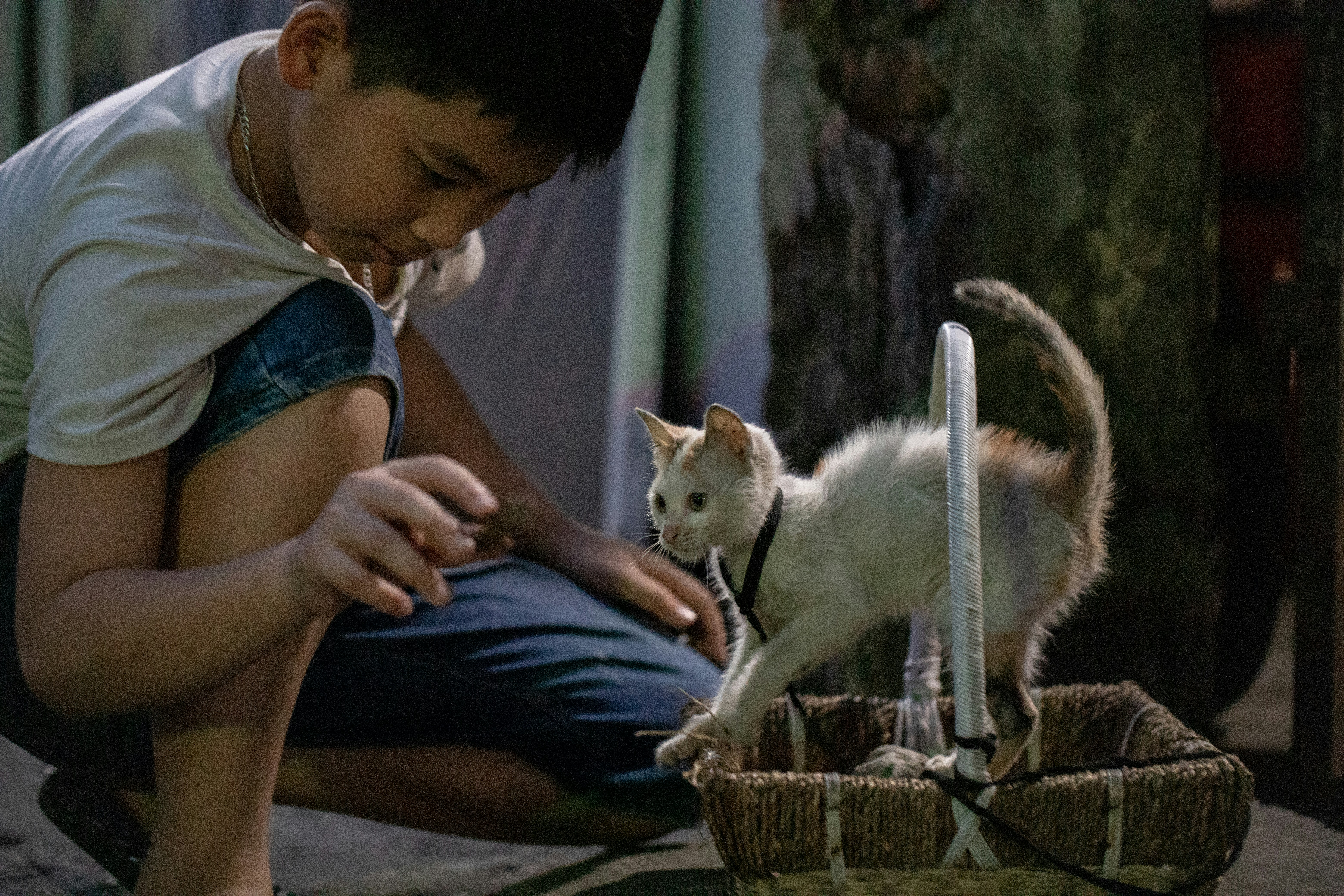 Closeness During Changes or Upheaval (image credits: unsplash)