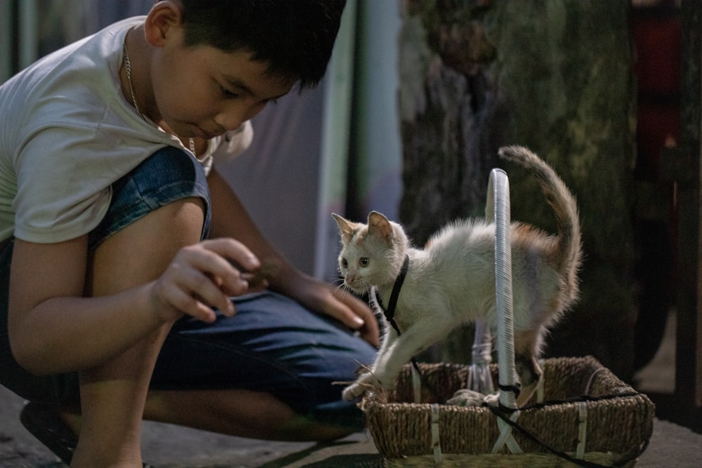 a young boy playing with a kitten in a basket
