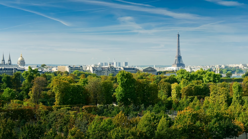 the eiffel tower towering over the city of paris