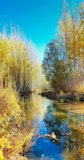 A peaceful float trip down a clear river surrounded by autumn-colored trees.