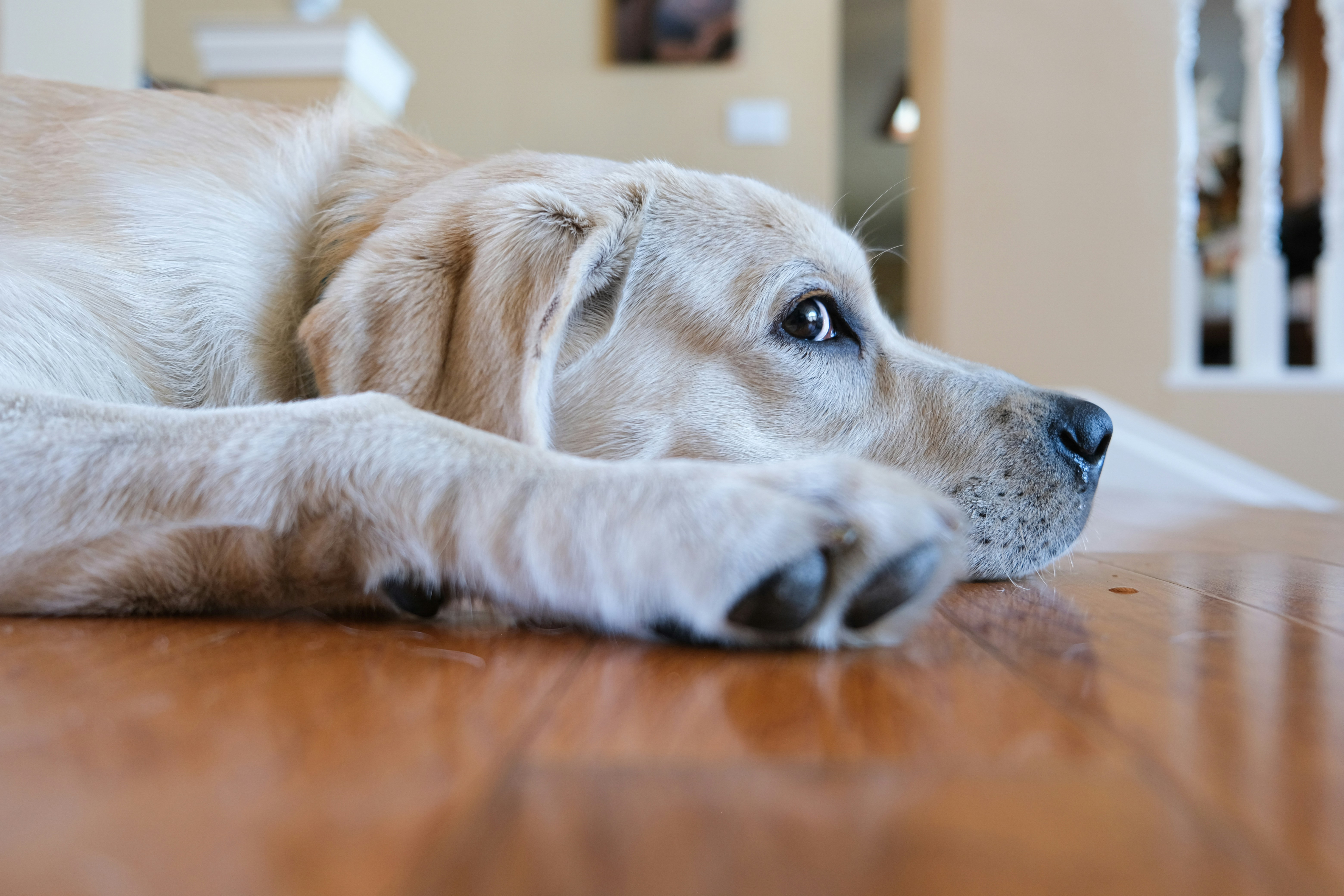 Photo by cestmoisheedy