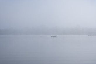A misty morning on a remote lake, with a lone boat cutting through the calm water.