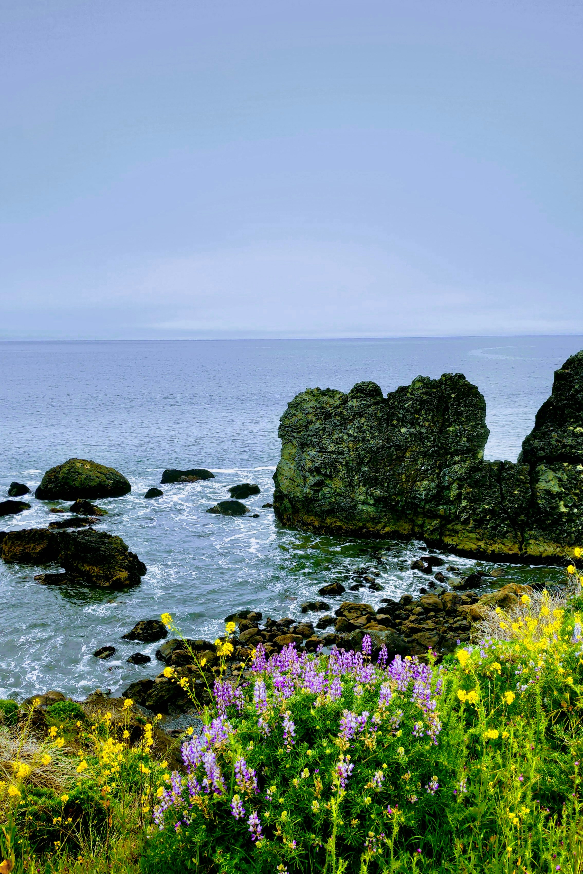 a view of a body of water with rocks and flowers in the foreground