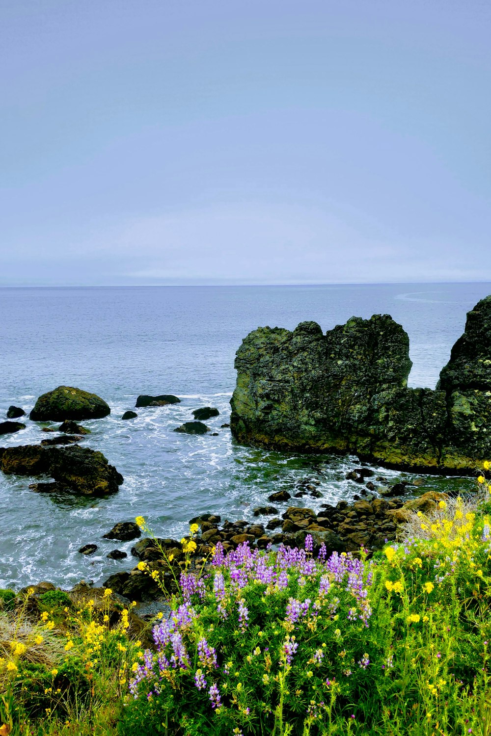 a view of a body of water with rocks and flowers in the foreground