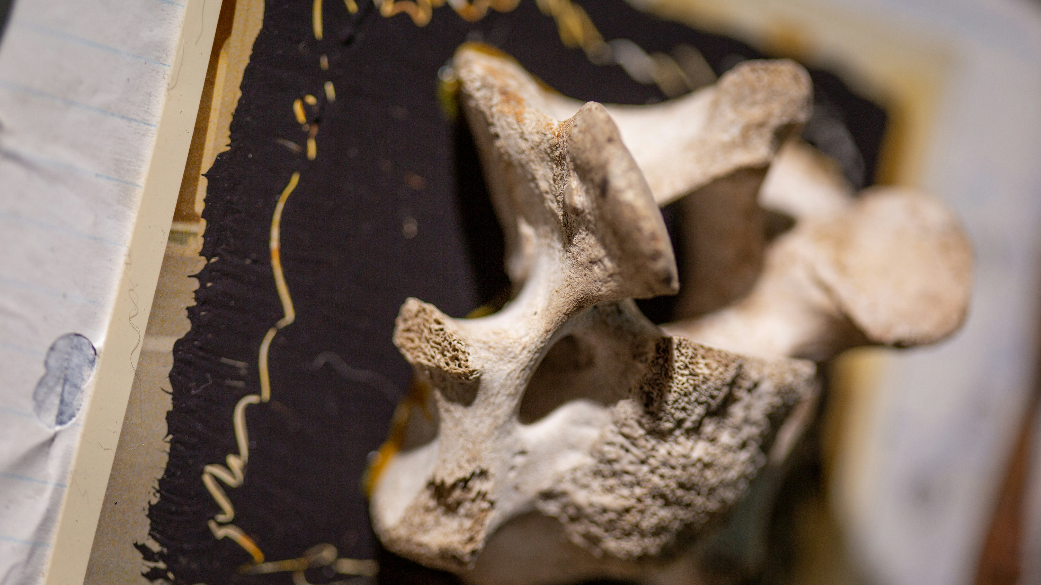 Photo by psarahtonen