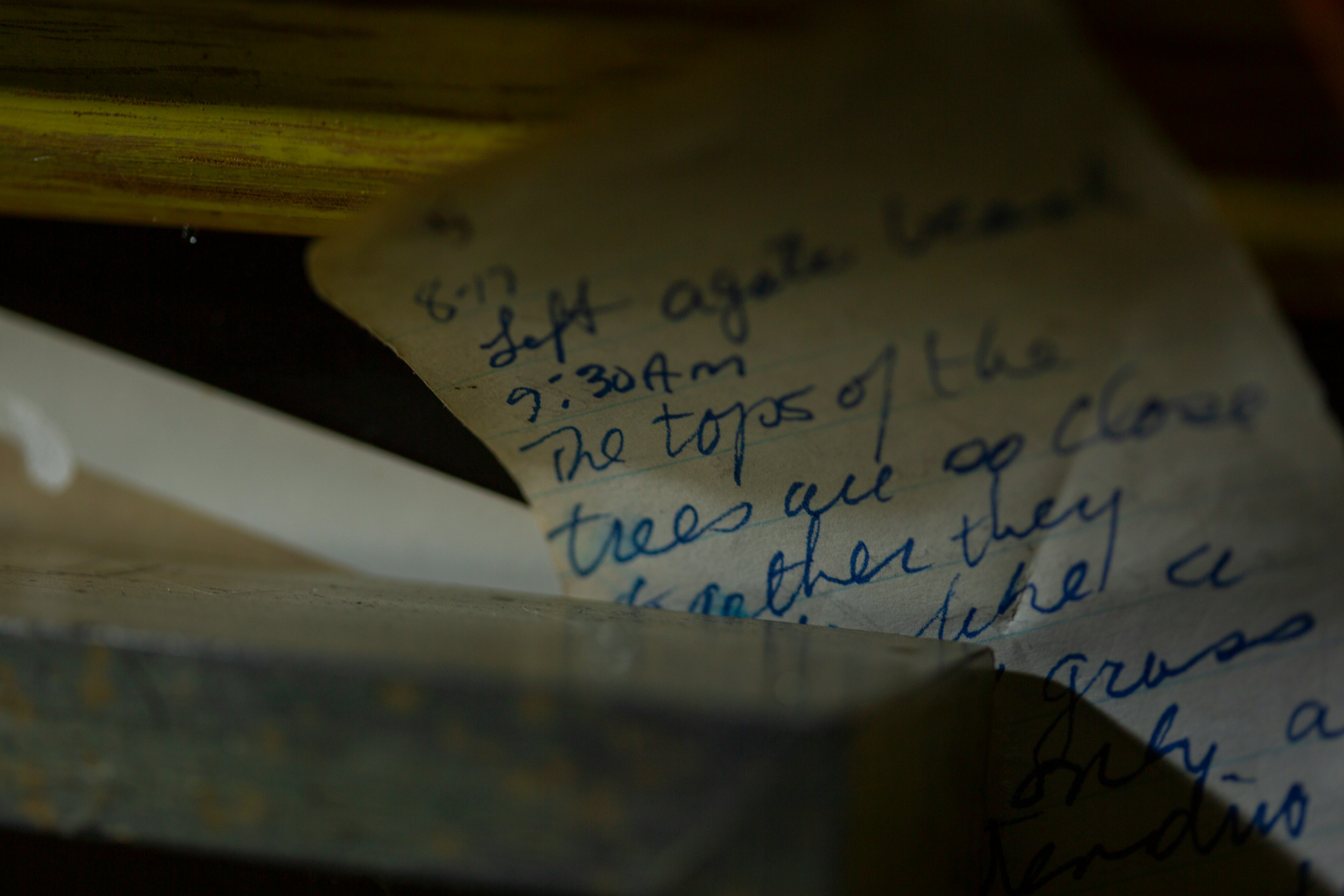 Flour-Dusted Footnotes: The Americans Turning Grandma's Kitchen Scrawl Into Living History