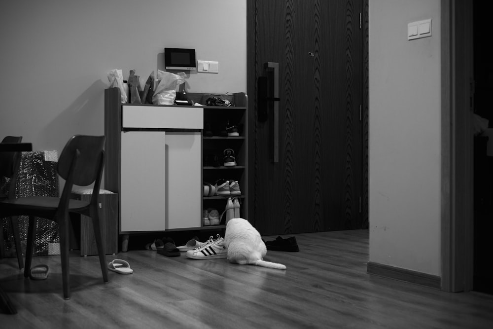 a black and white photo of a cat laying on the floor