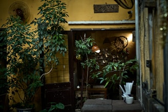 An intimate setting with rustic decor featuring abundant green plants around a small, cozy entrance leading into a dimly-lit interior. A chair and table are visible inside, along with a warm light fixture and a wall adorned with notes and decorations. The environment evokes a quaint and nostalgic atmosphere.