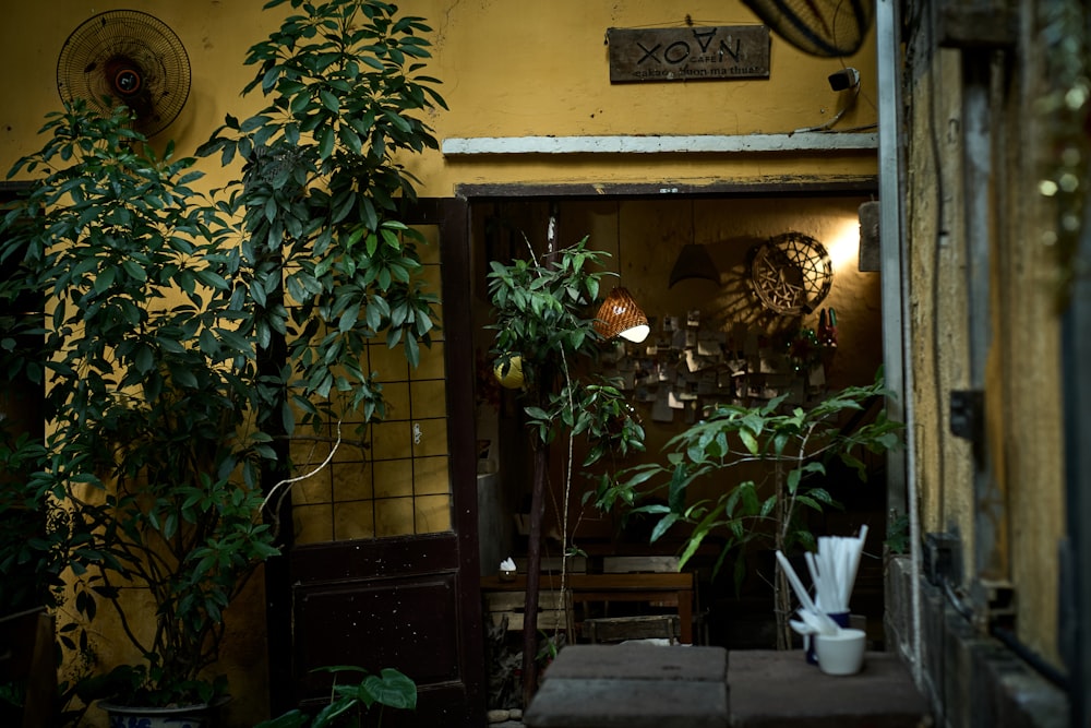 a room that has a bunch of plants in it