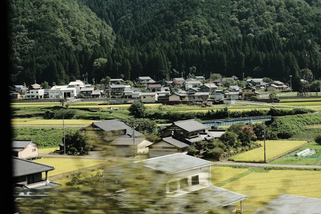 A small rural village nestled among lush green fields and forests. Traditional houses with sloped roofs are scattered throughout the landscape, with a backdrop of dense trees on a hillside.