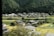A small rural village nestled among lush green fields and forests. Traditional houses with sloped roofs are scattered throughout the landscape, with a backdrop of dense trees on a hillside.
