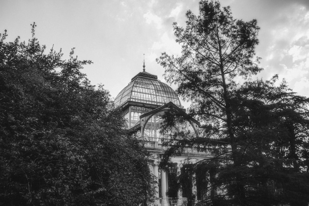 a black and white photo of a building surrounded by trees