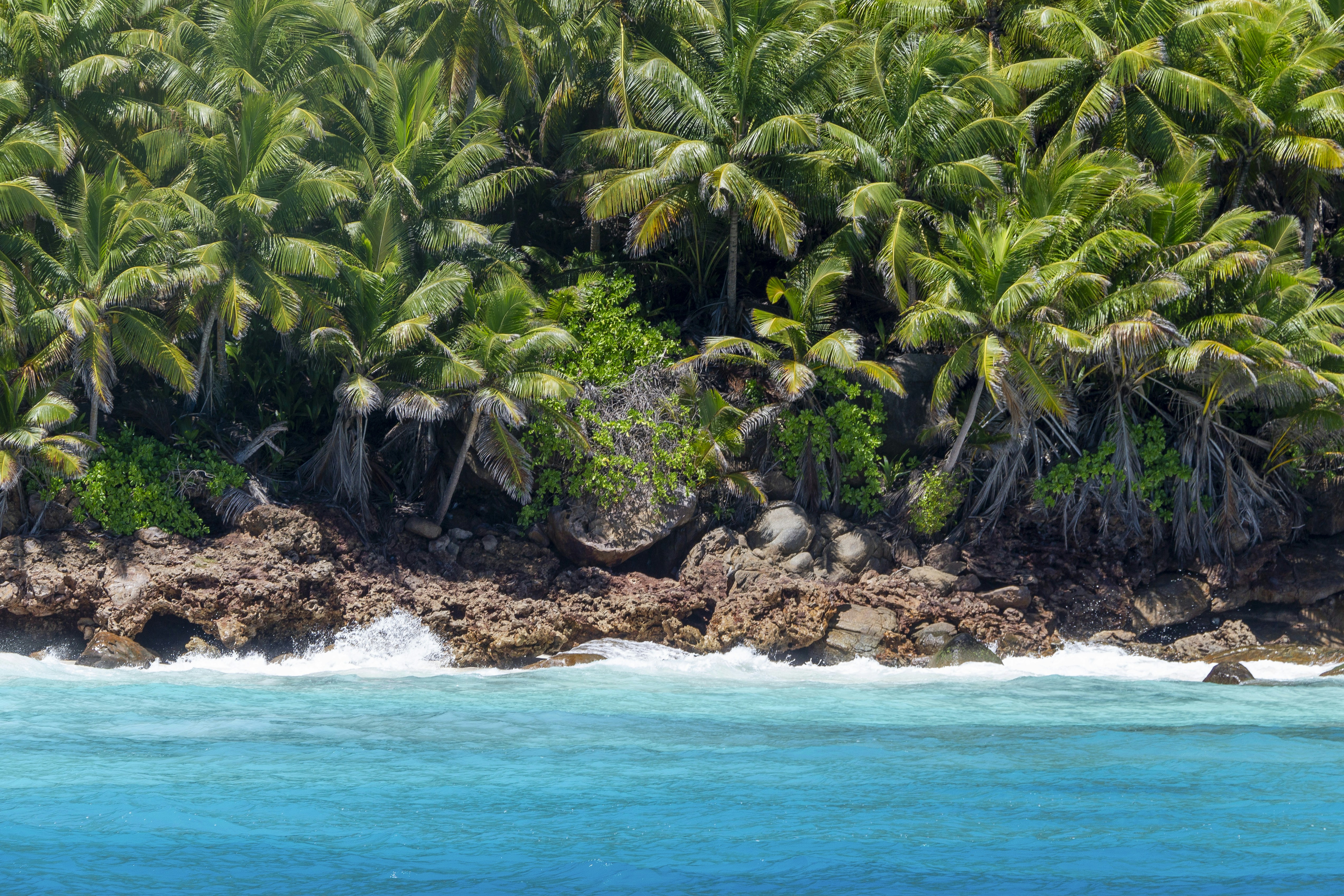 Photo by salty_morning