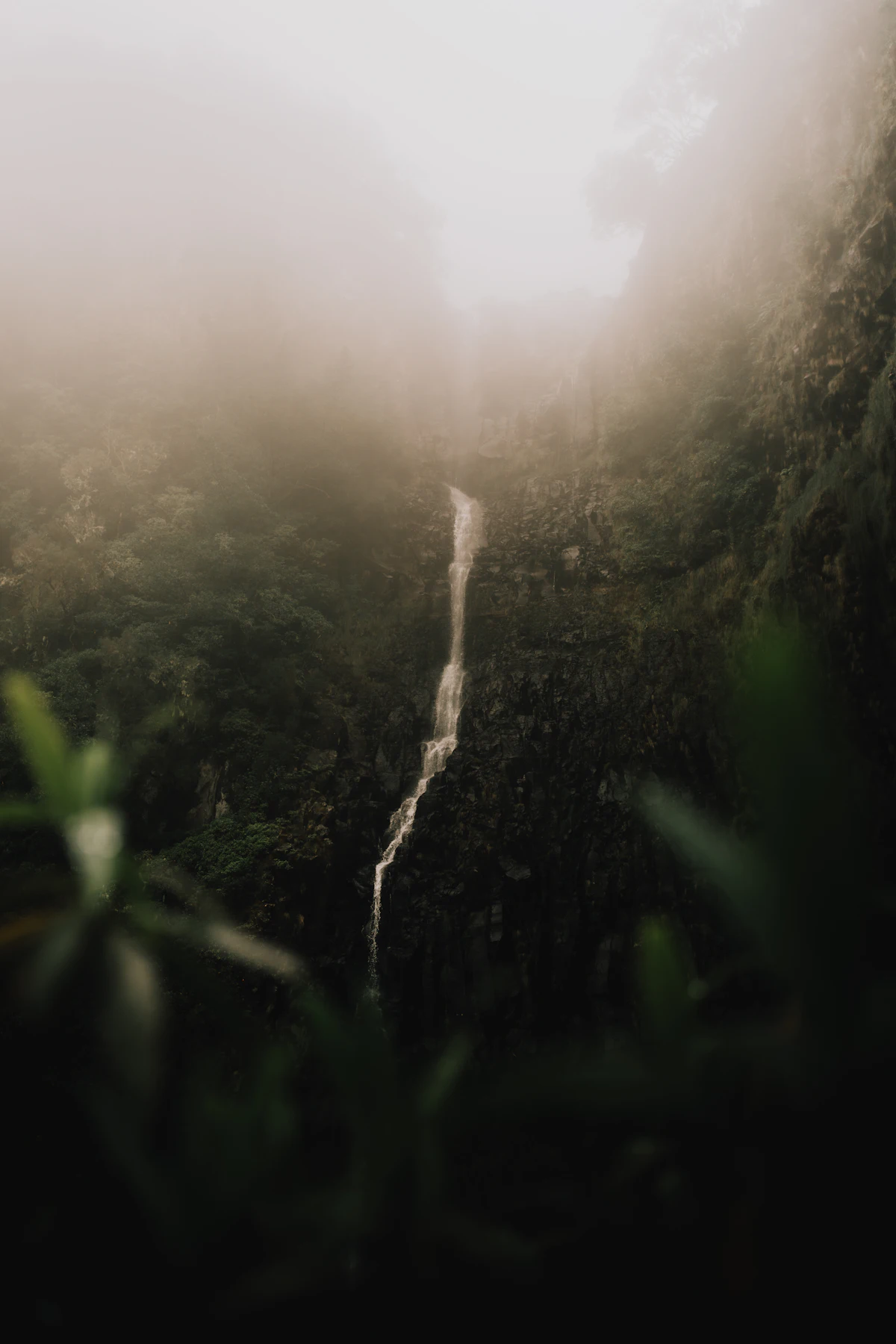 Cascata do Risco, Madeira, ponto de partida compartilhado com a Levada das 25 Fontes