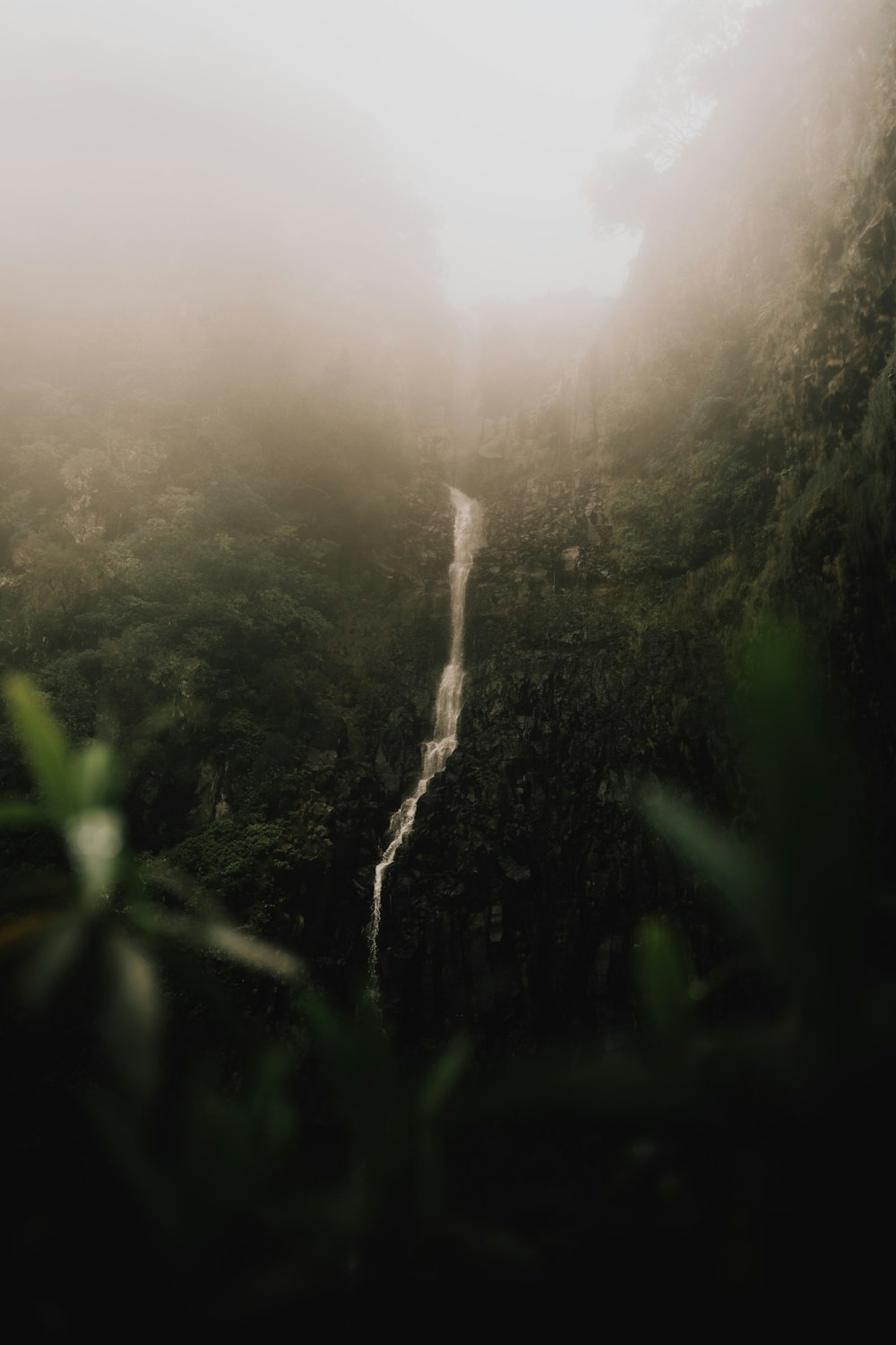 a waterfall in the middle of a foggy forest