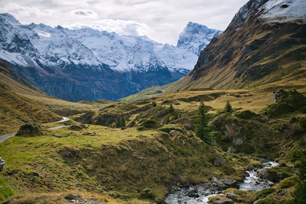 a river running through a lush green valley