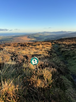 A picturesque landscape features rolling hills under a clear blue sky, with a trail marked by a small green sign depicting a white birdhouse. The foreground is covered in sunlit grass and heather, while the background shows expansive distant hills and a glimpse of the sea.