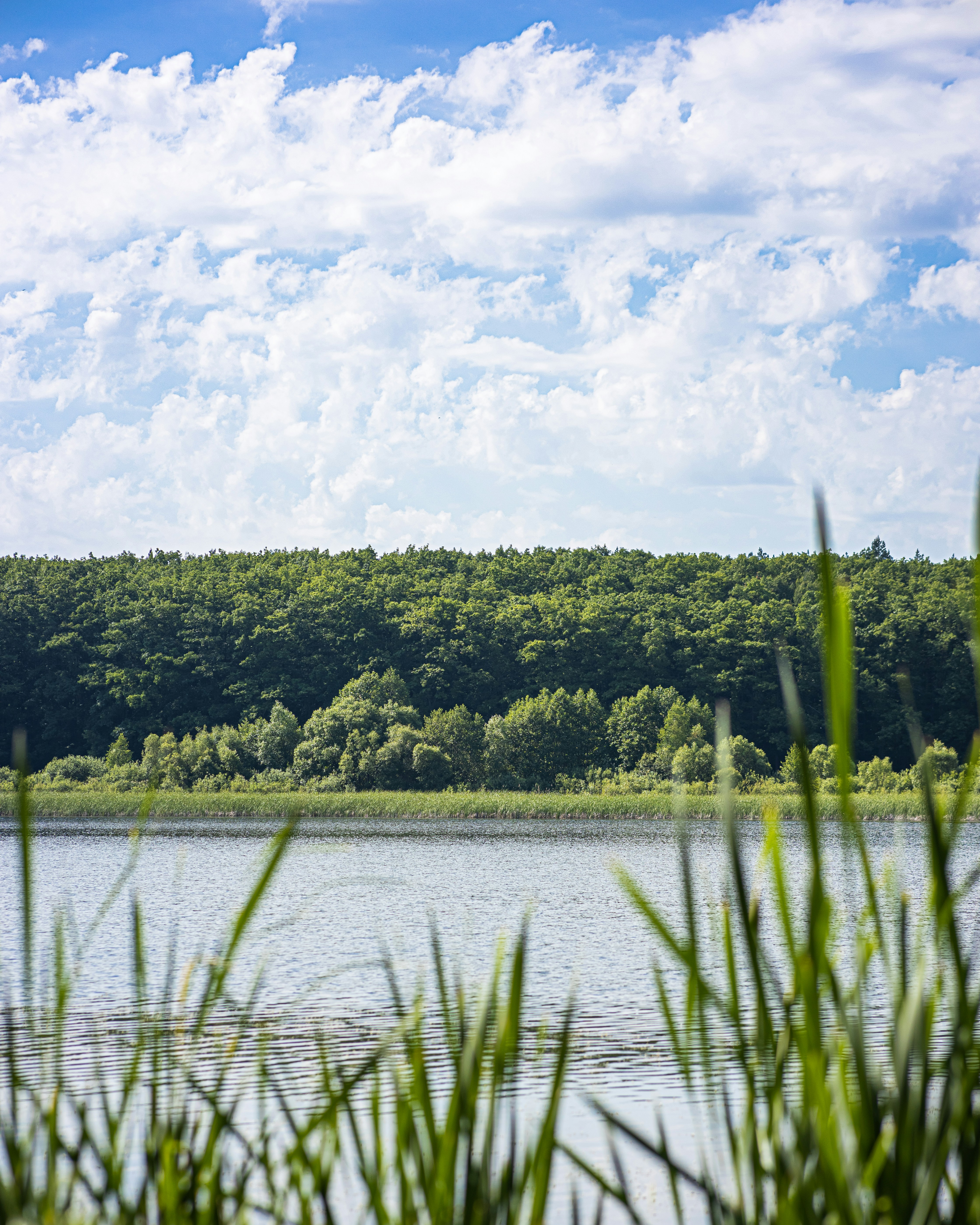 Photo by vadym_chumak