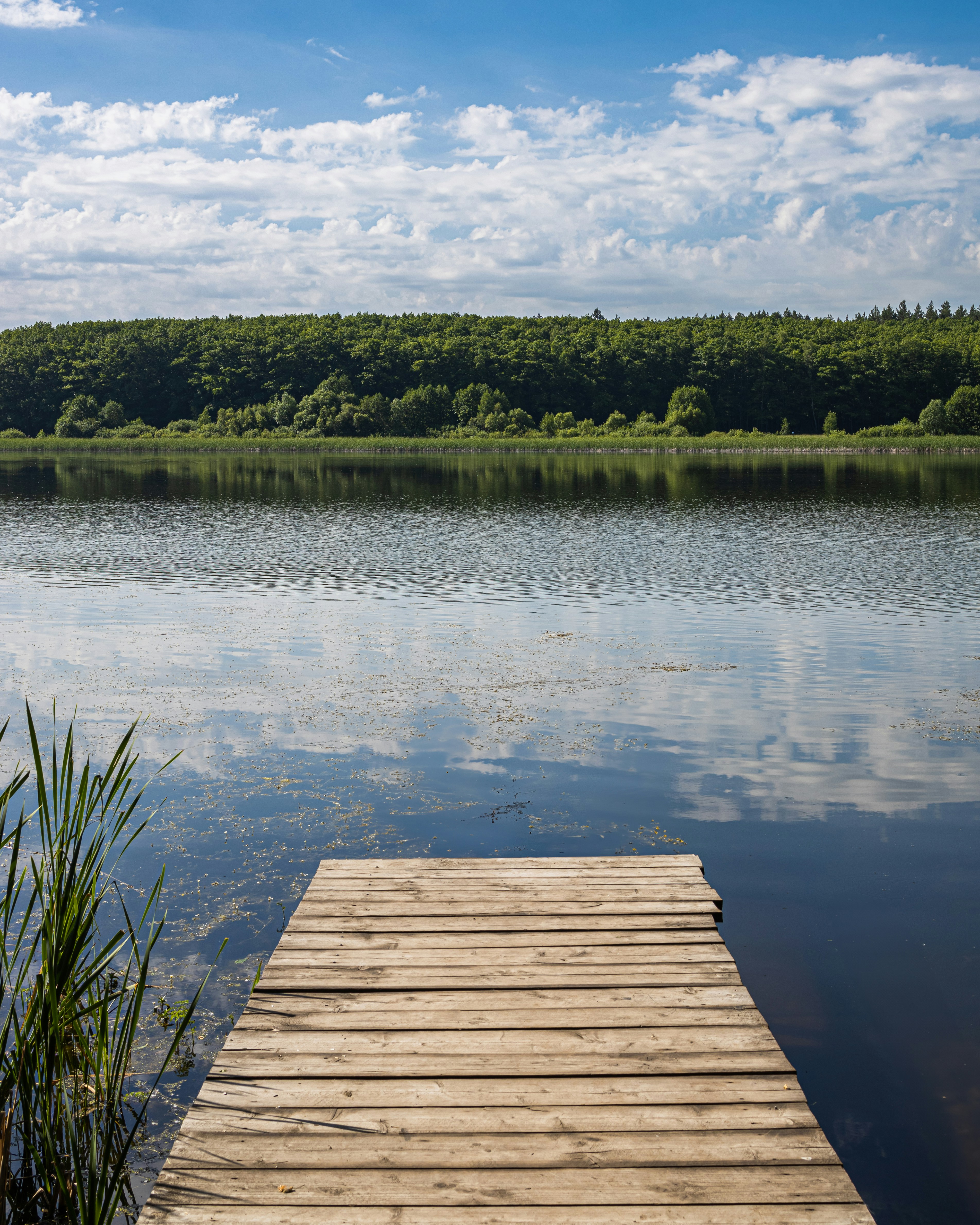 Photo by vadym_chumak