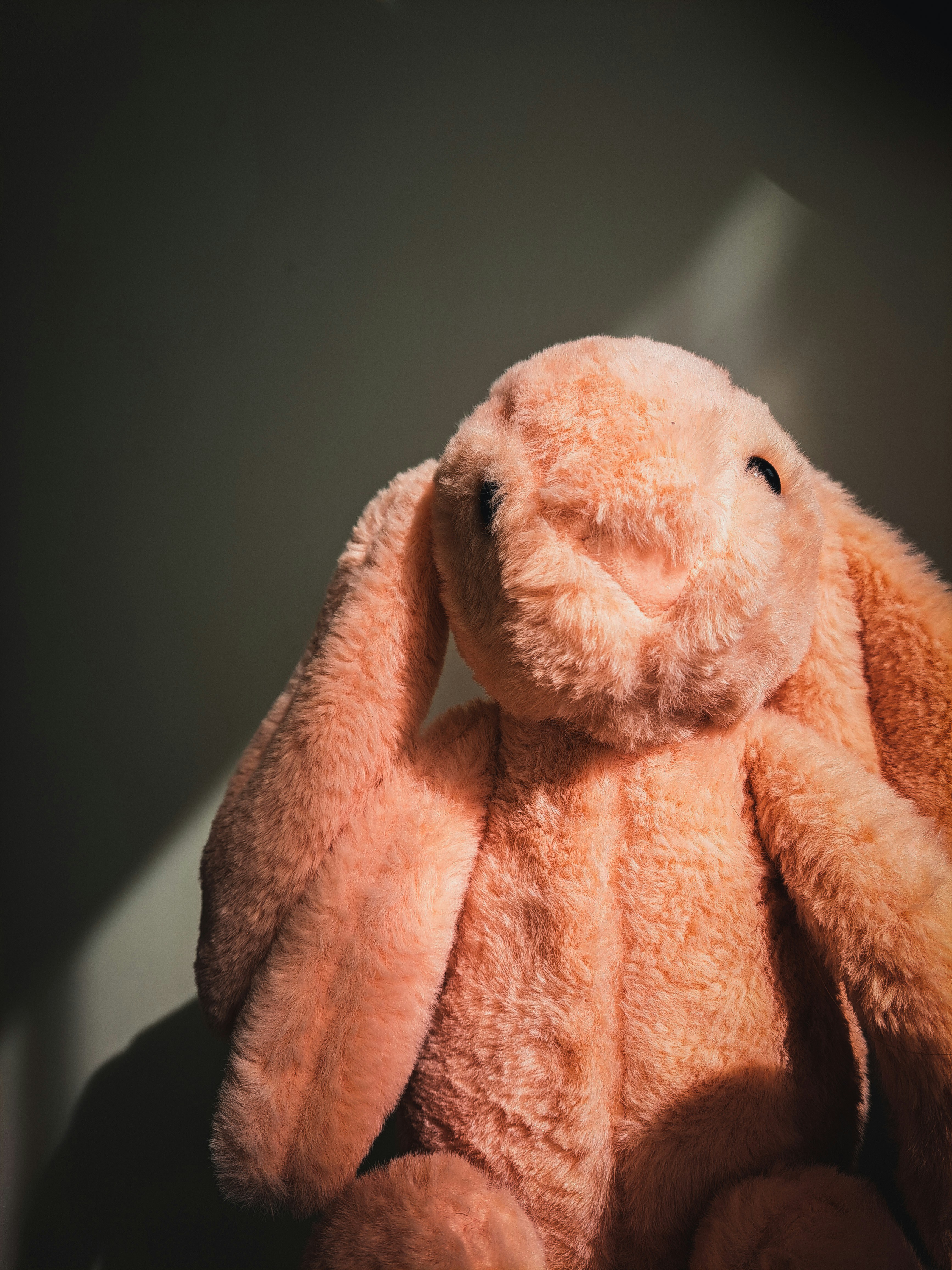 Photo by photo_setayesh