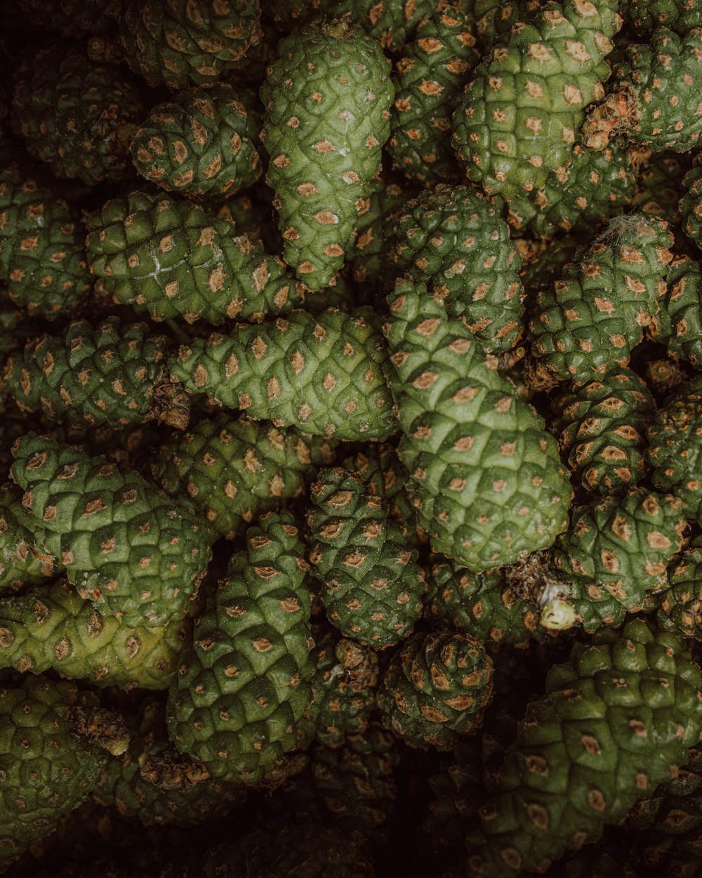 a large pile of green fruit sitting on top of each other